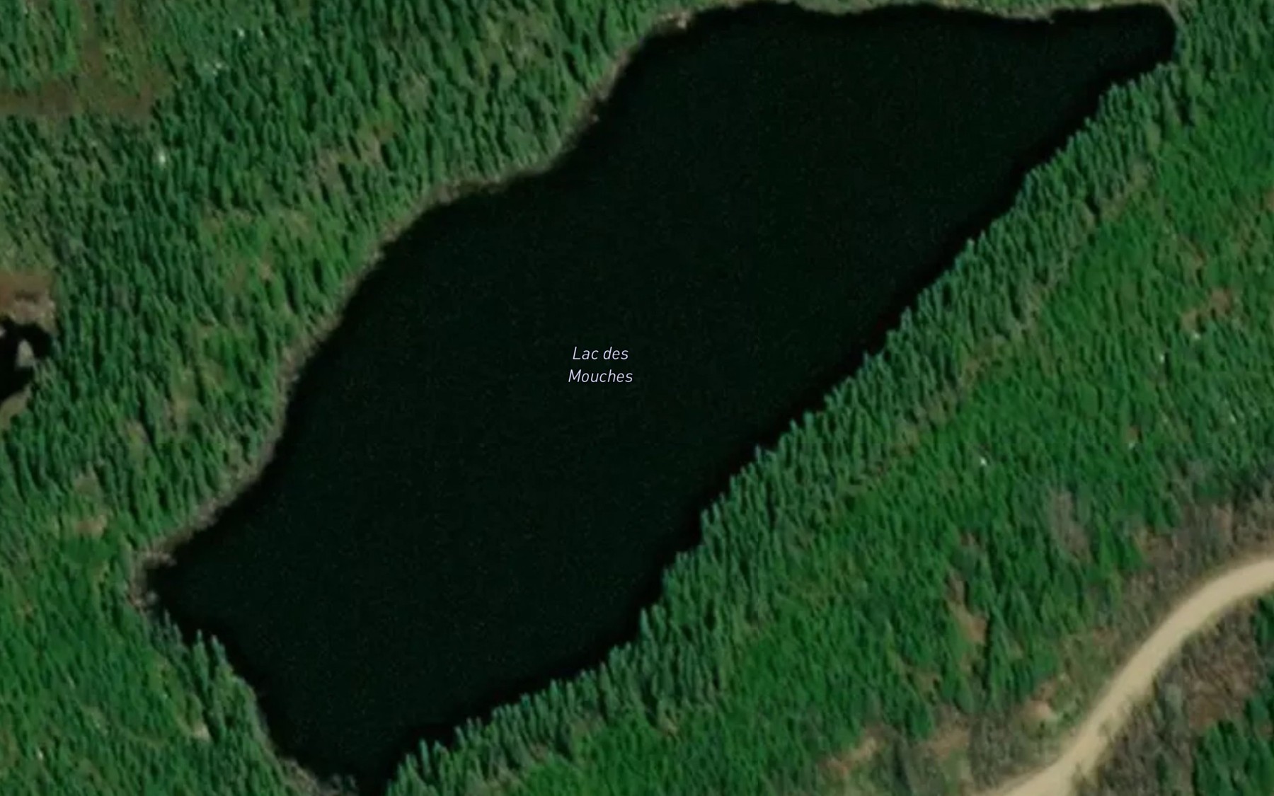 Satellite map of the Lac des Mouches