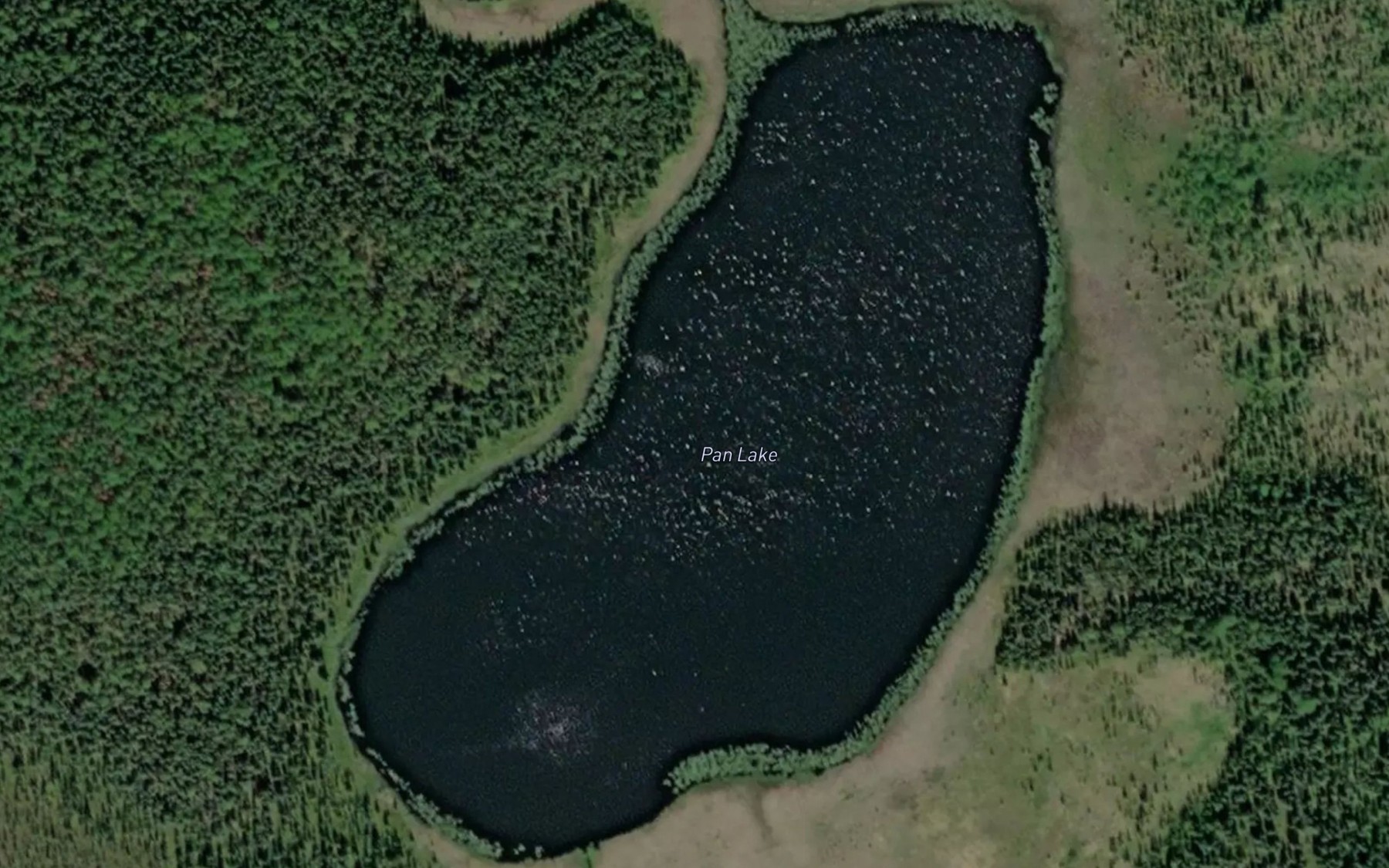 Satellite map of the Pan Lake