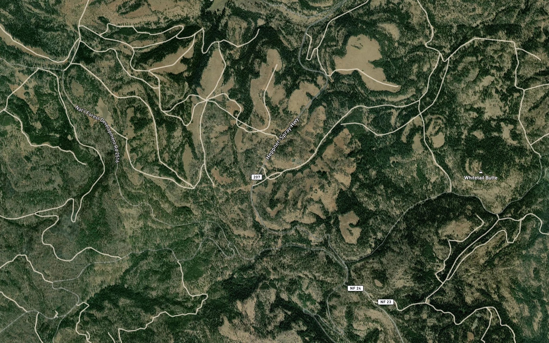 Satellite map of the Rock Spring