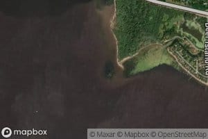 Bogus Creek