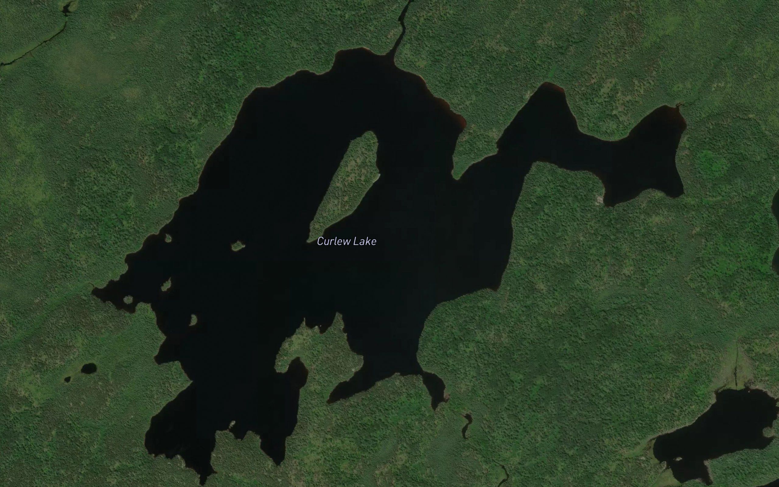 Curlew Lake