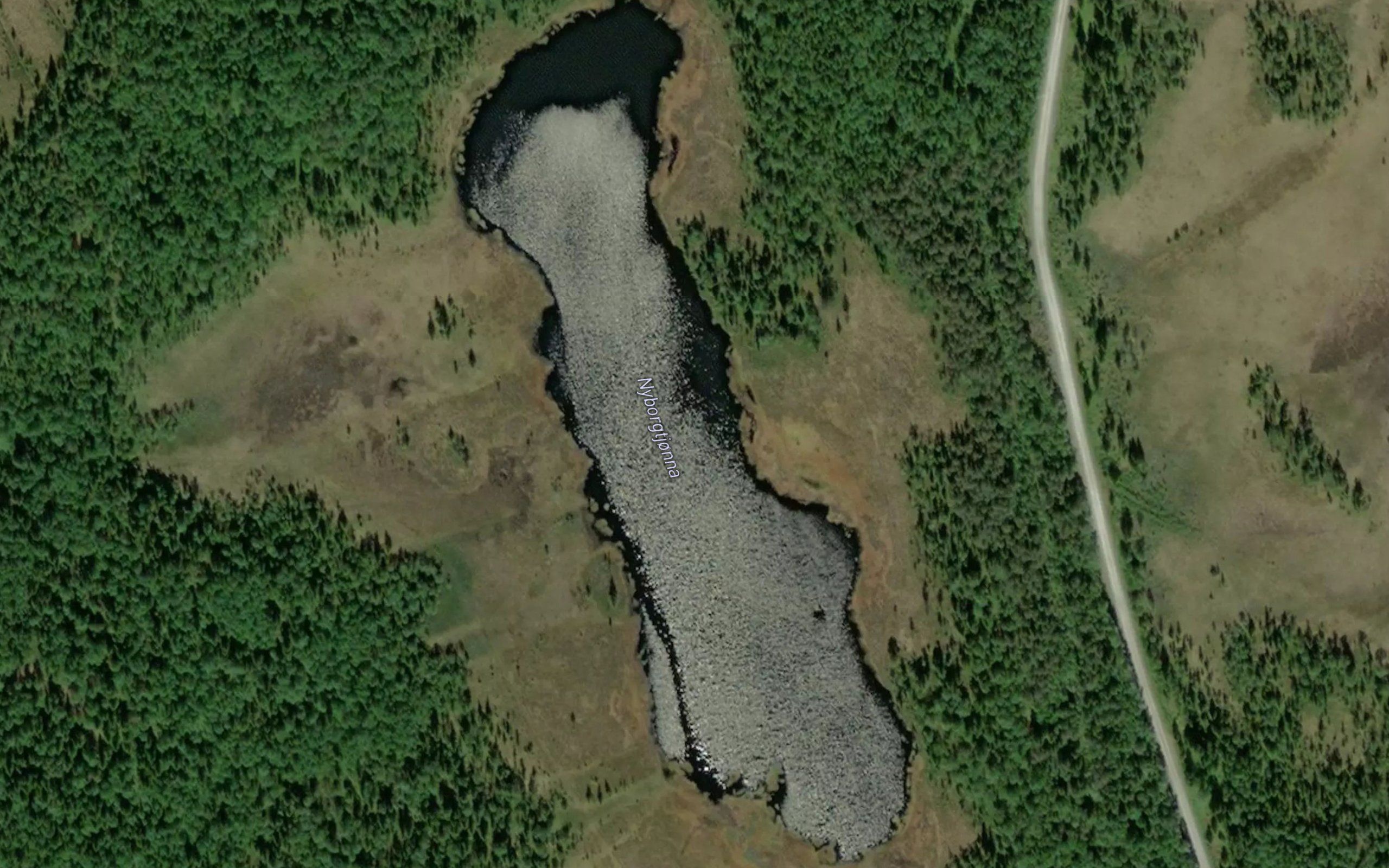 Nyborgtjorna