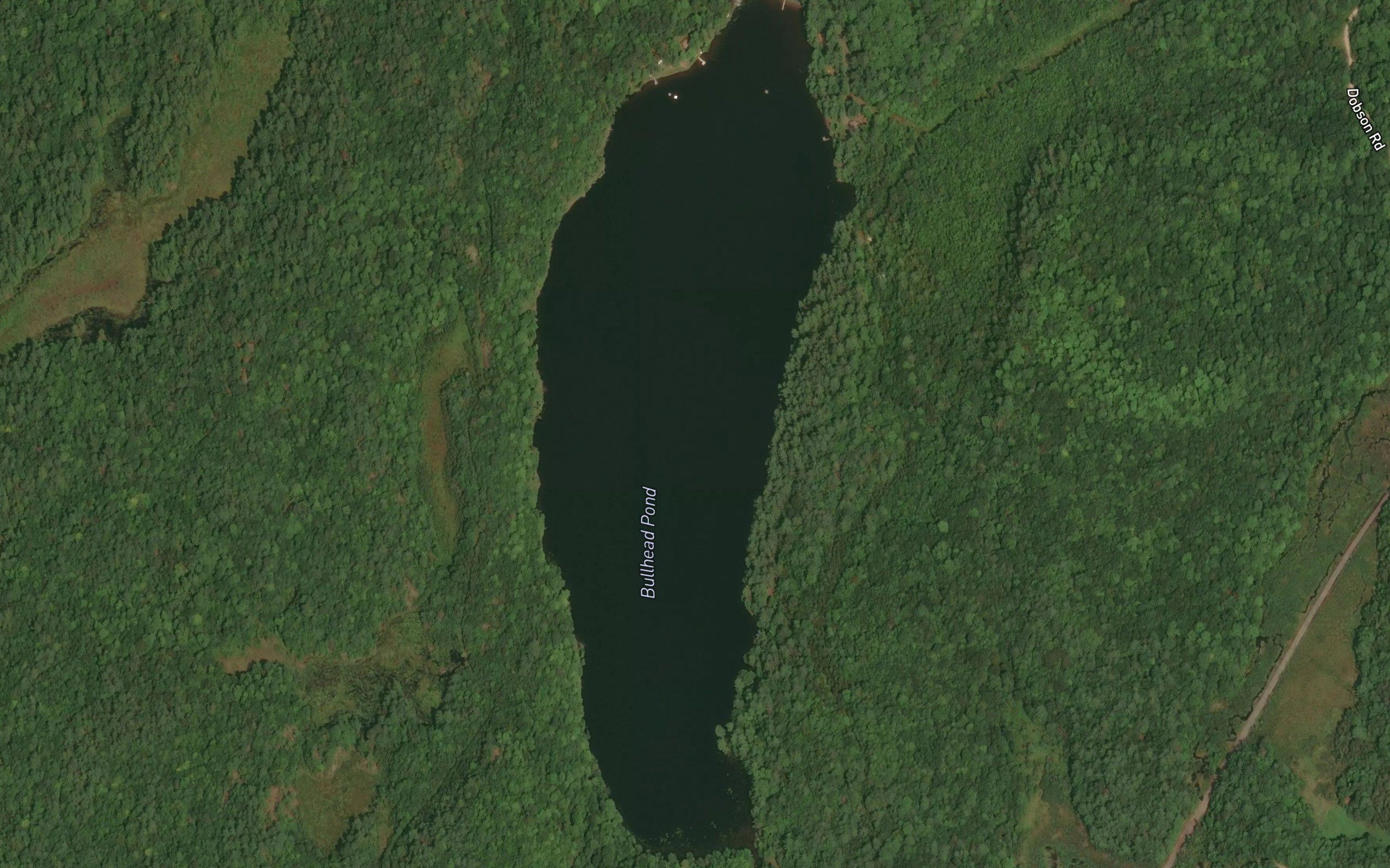 Bullhead Pond