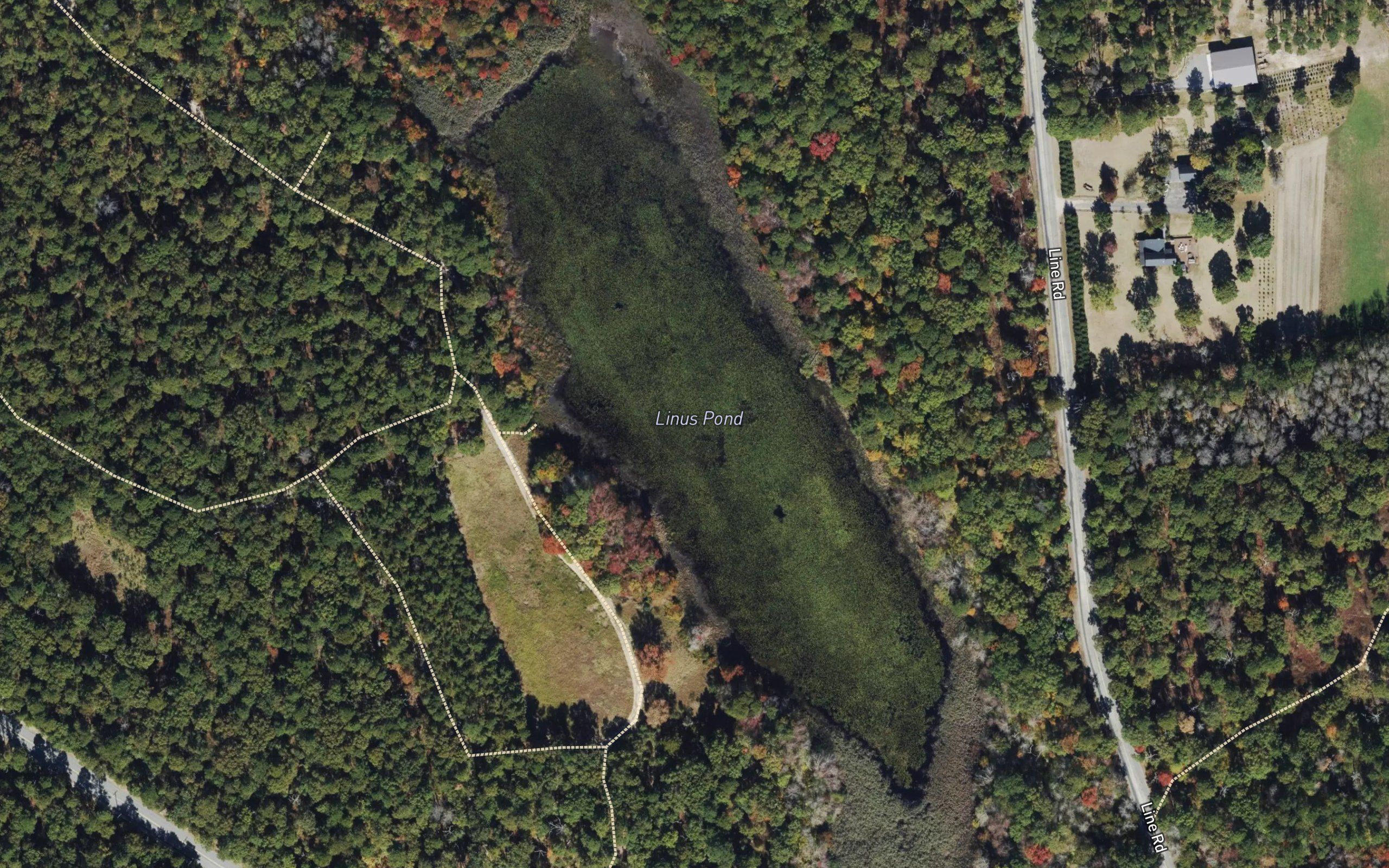 Linus Pond
