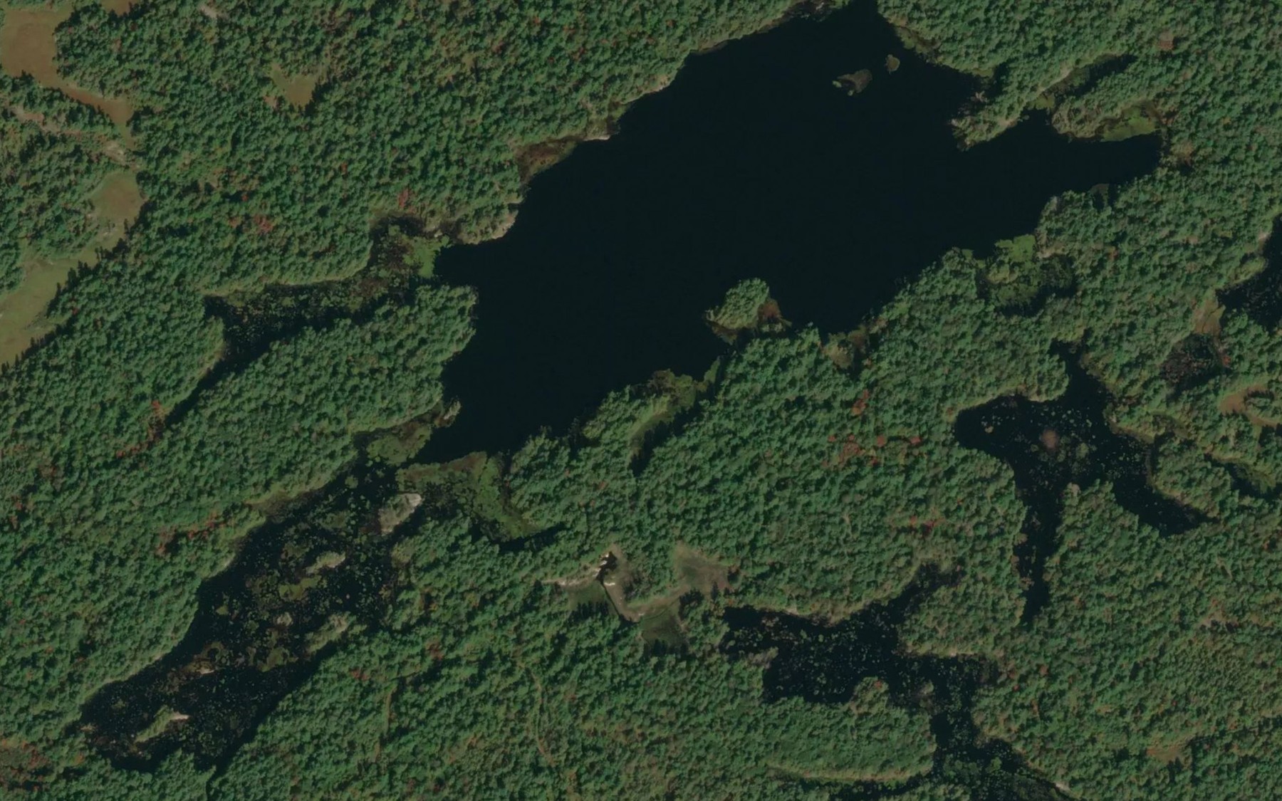 Satellite map of the Argue Lake