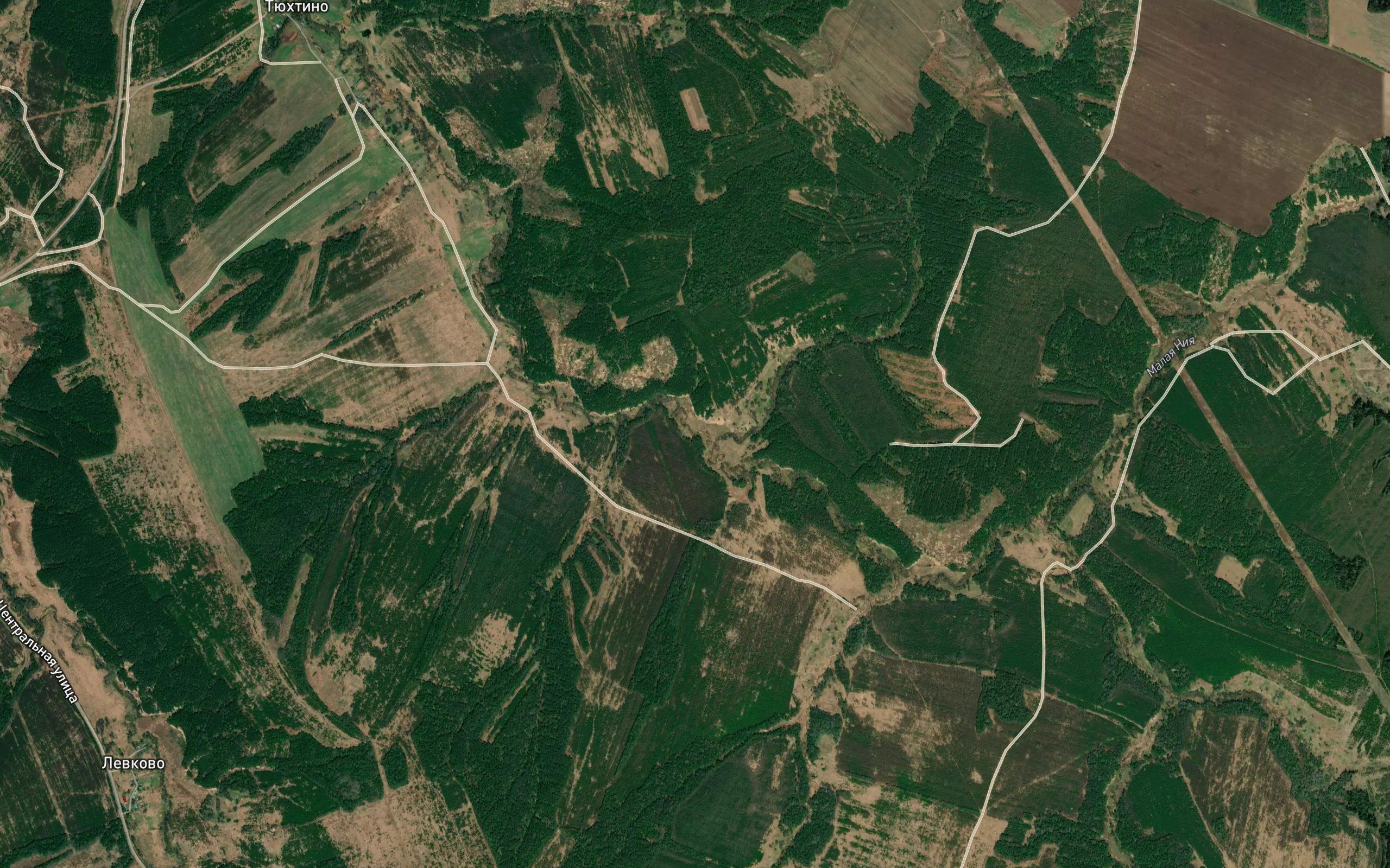 Lazarevka