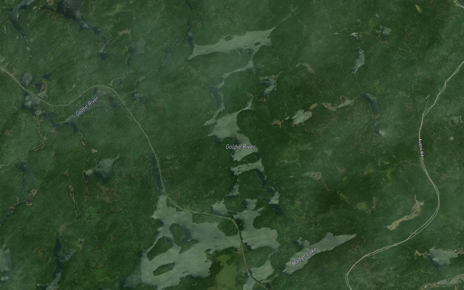 Satellite map of the Delmage Lake