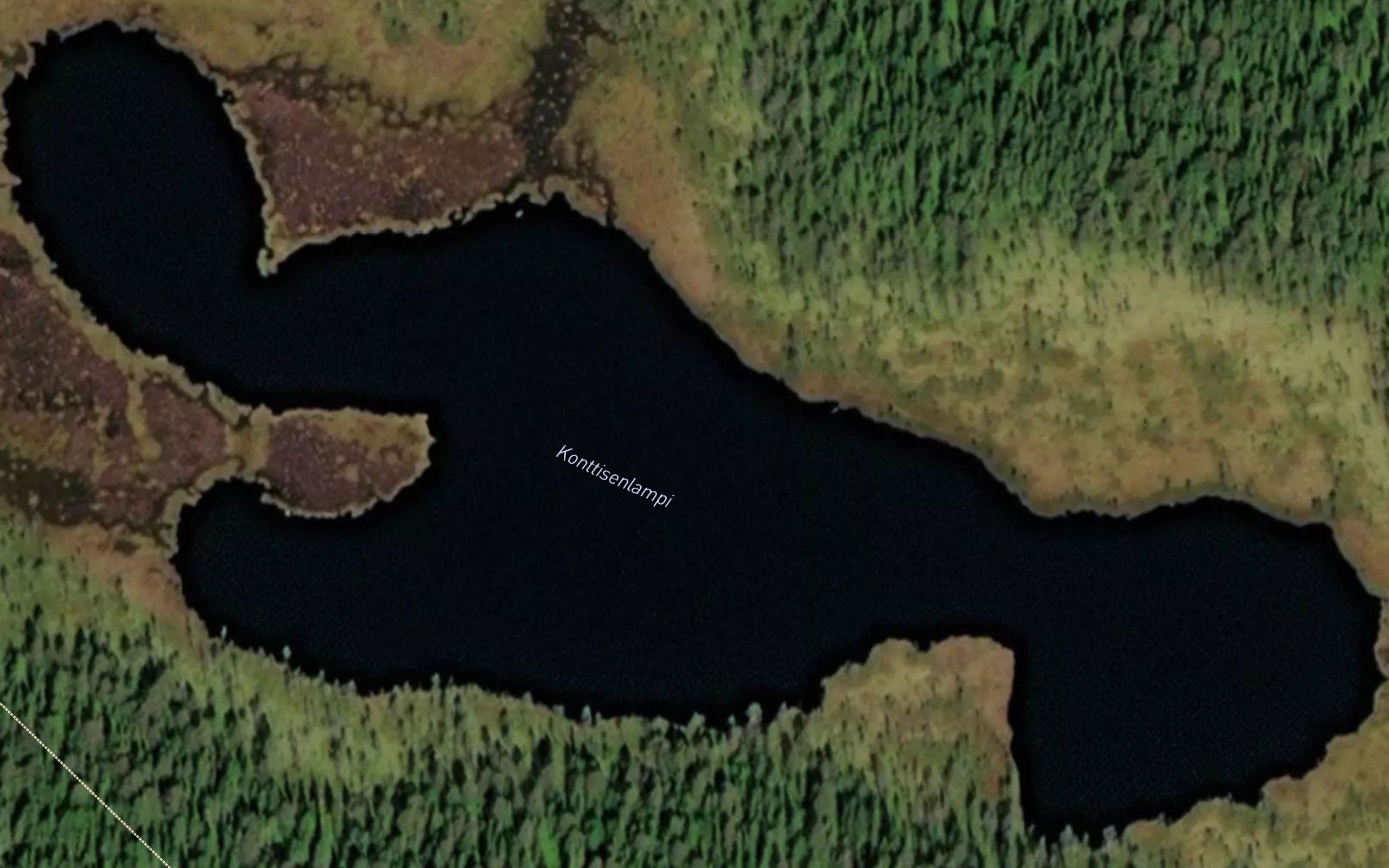 Konttisenlampi