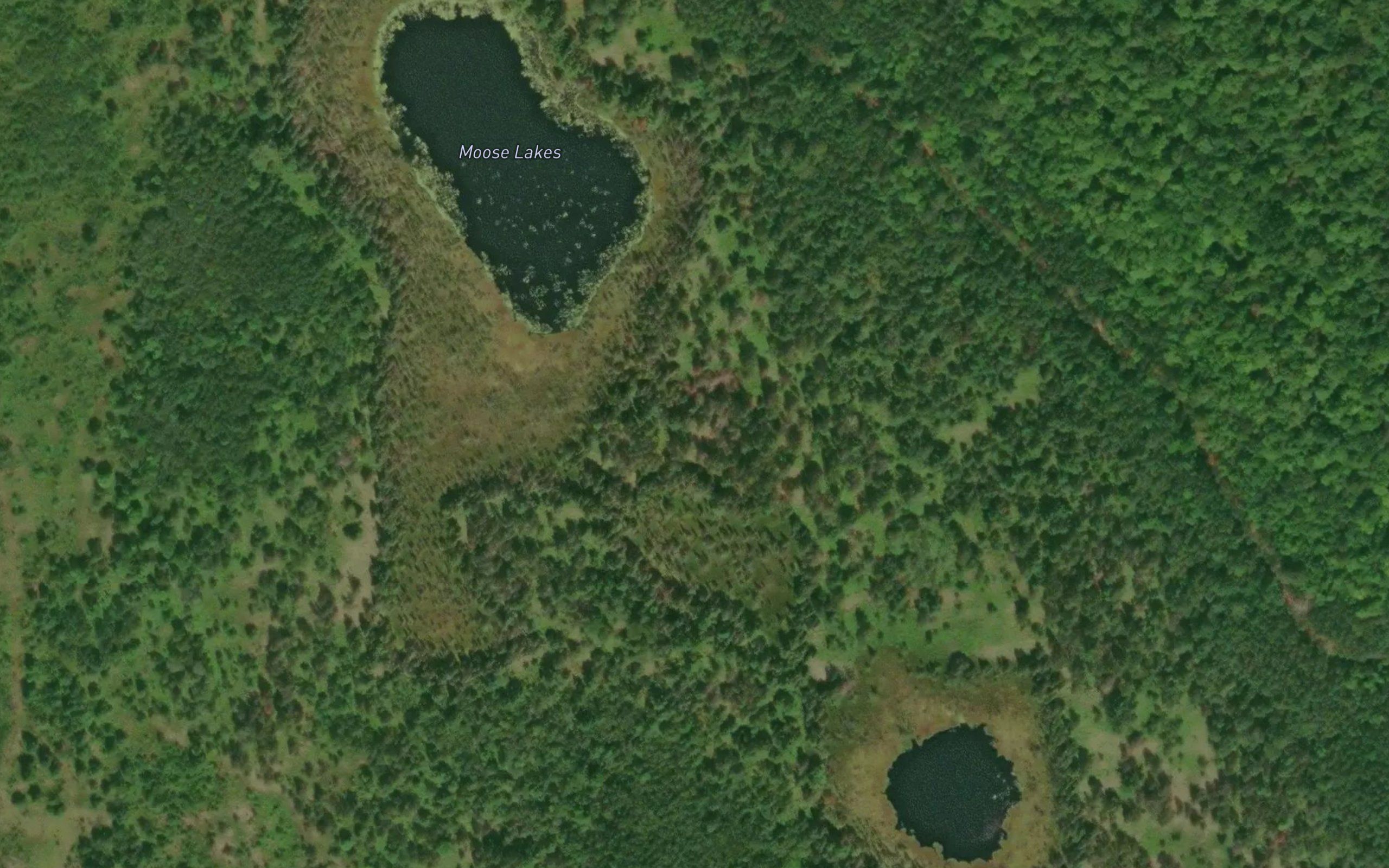 Moose Lakes