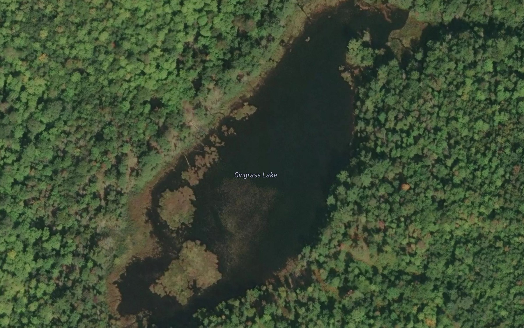 Satellite map of the Gingrass Lake
