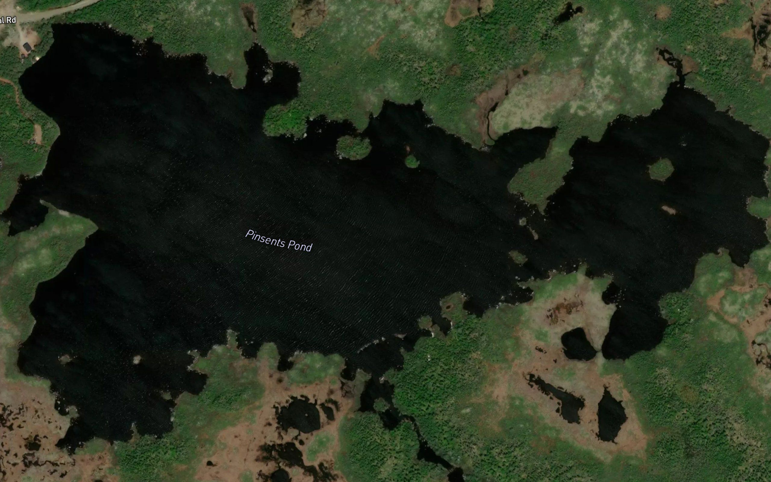 Pinsents Pond