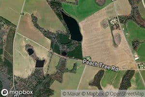 Cotton Patch Pond