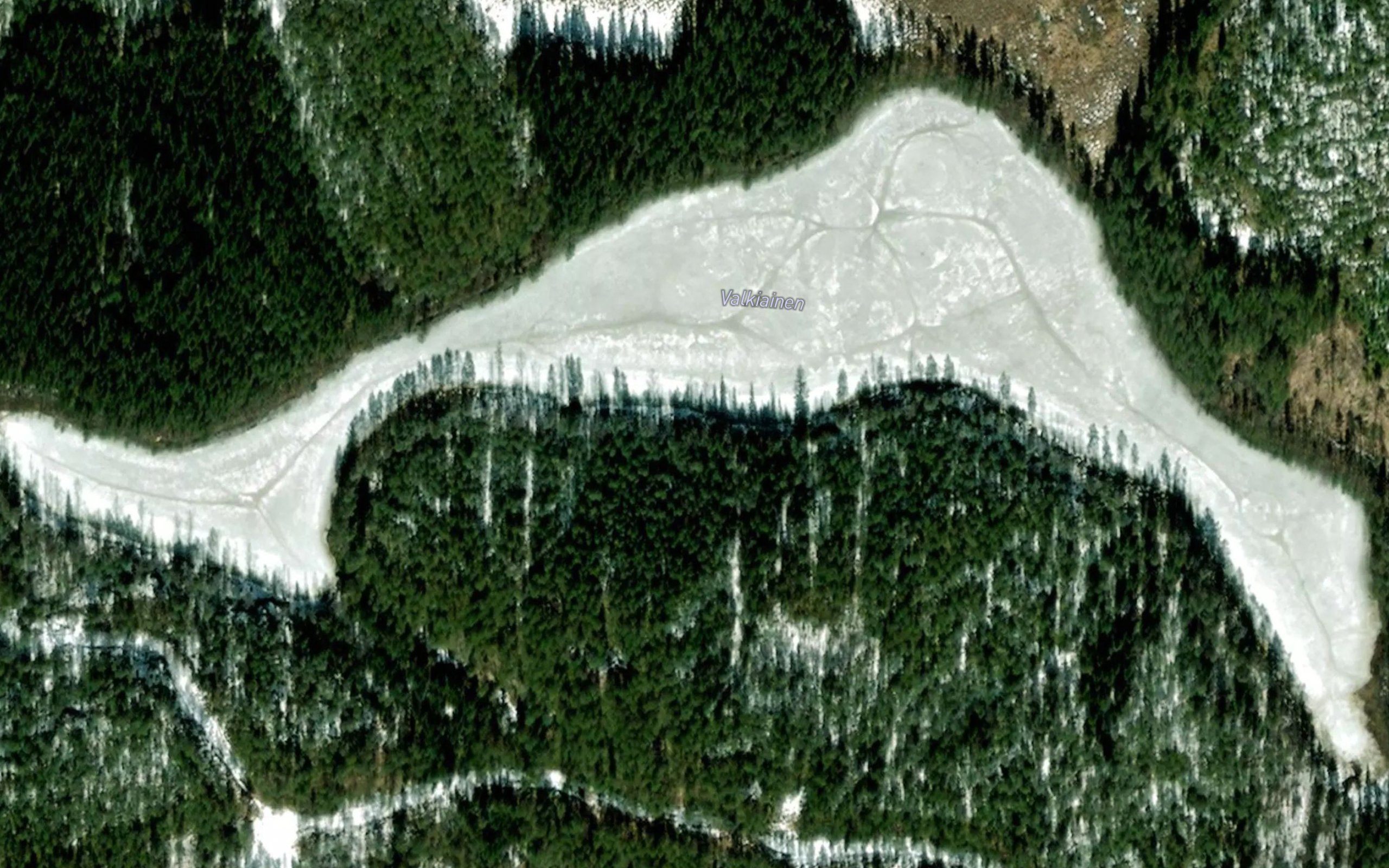 Valkiainen