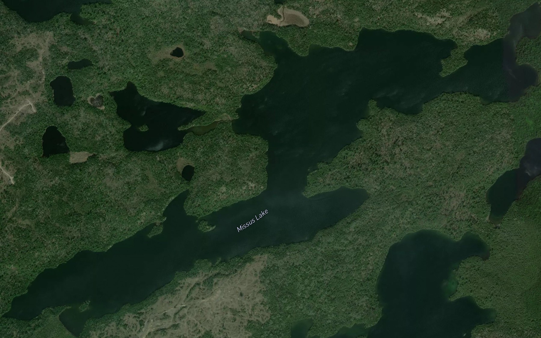 Satellite map of the Missus Lake