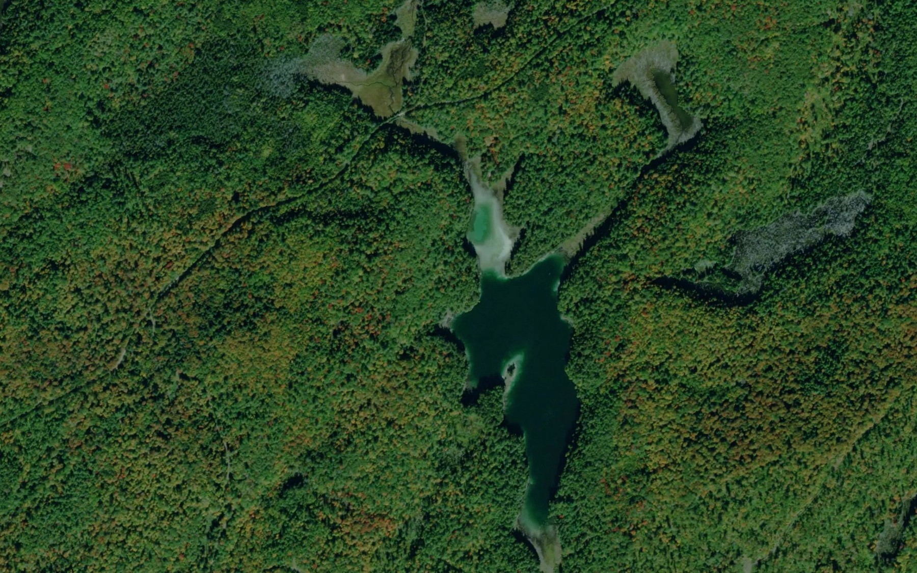 Satellite map of the East Tommy Lake