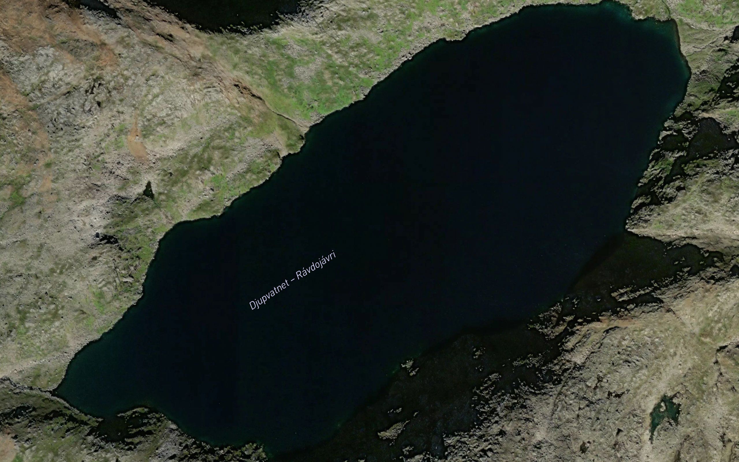 Ravdujavri