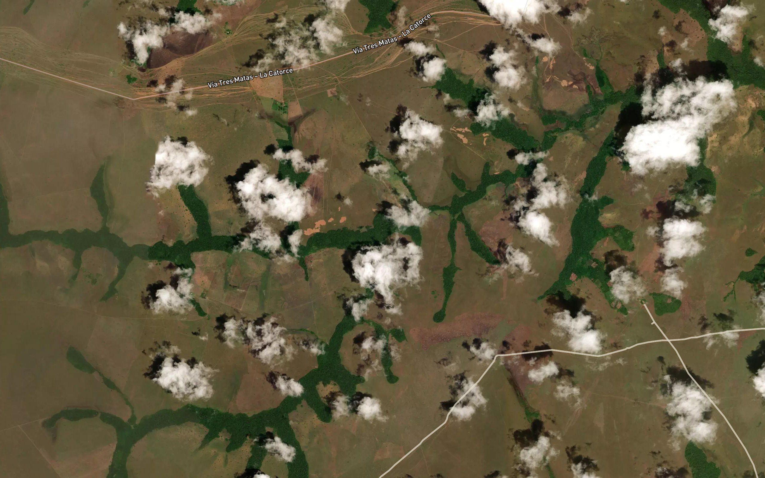 Cano Laguneyuca