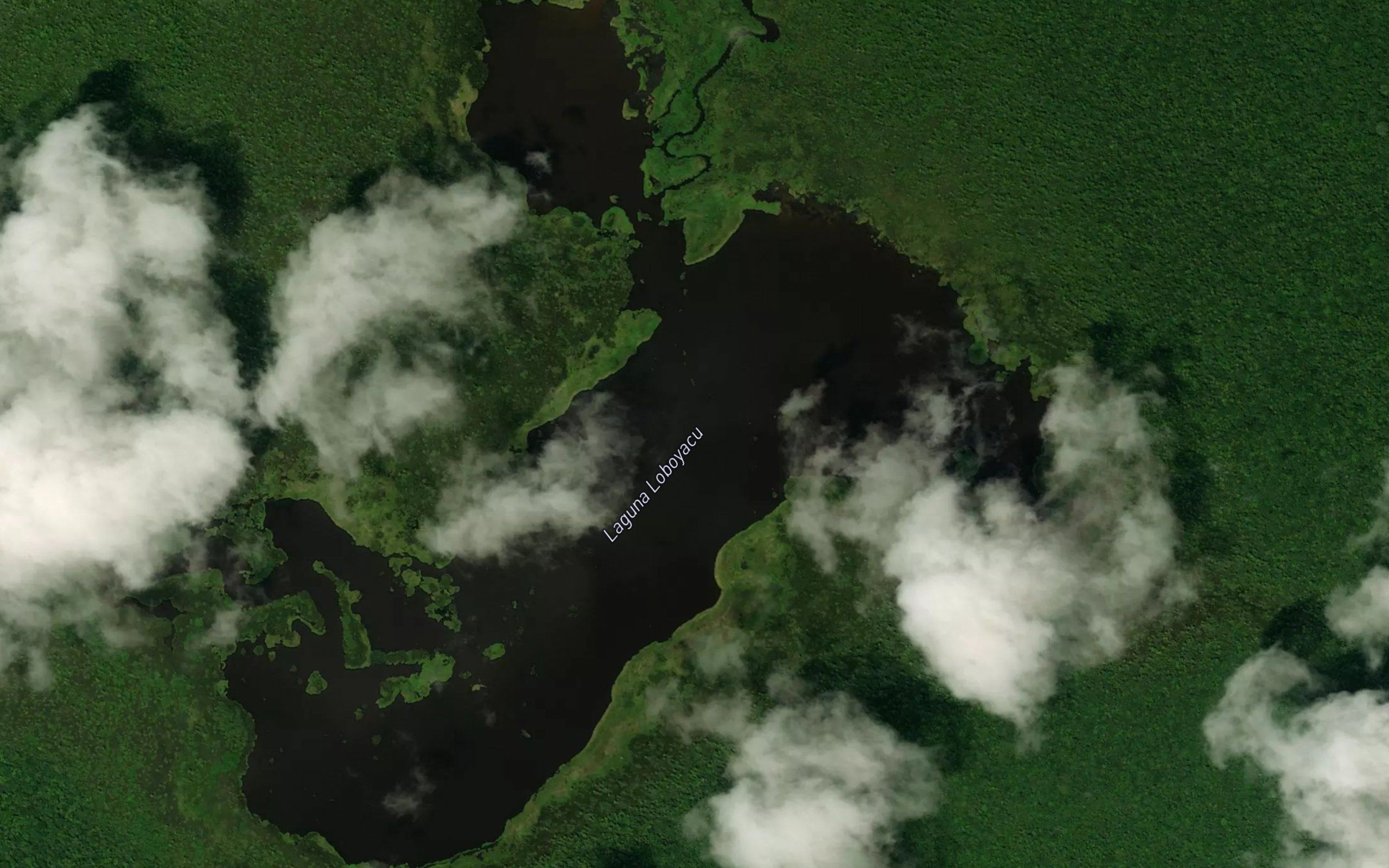 Laguna Loboyacu