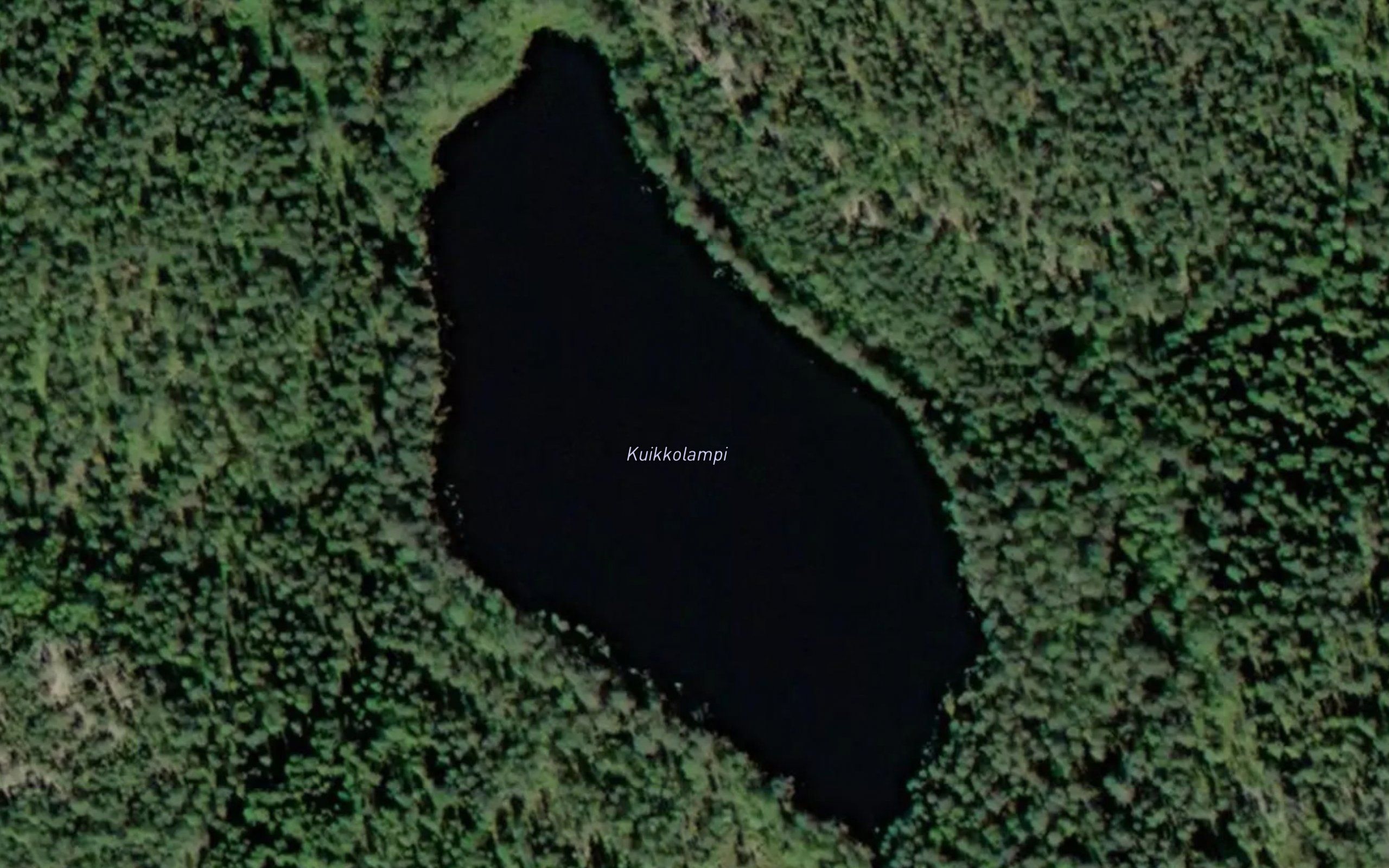 Kuikkolampi