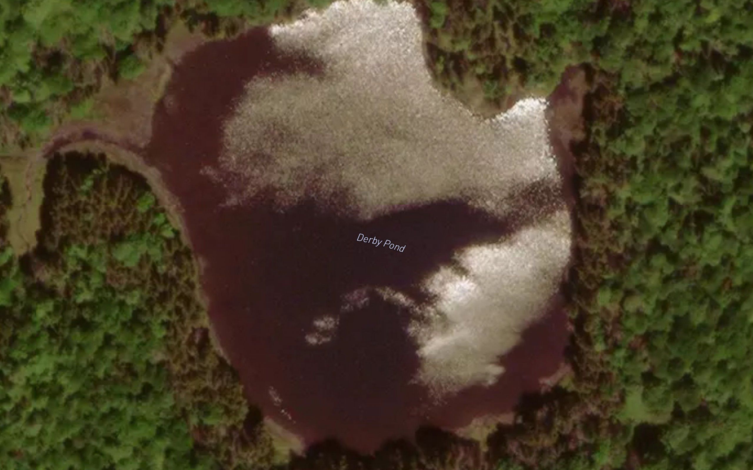 Derby Pond