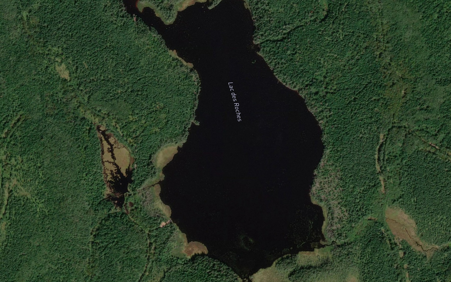 Satellite map of the Lac des Roches