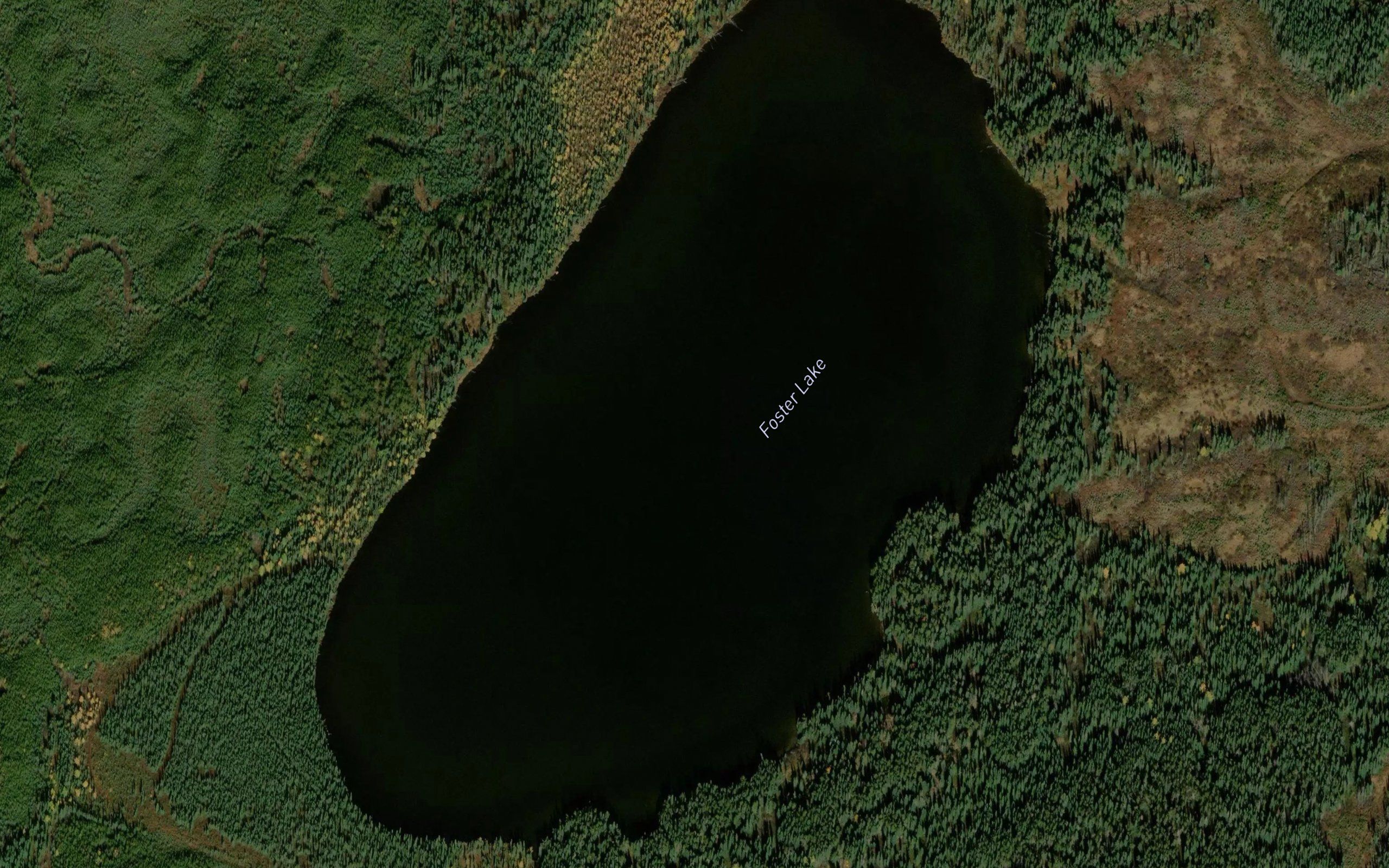 Foster Lake