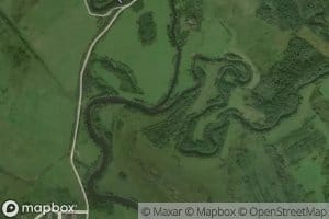 Bereza