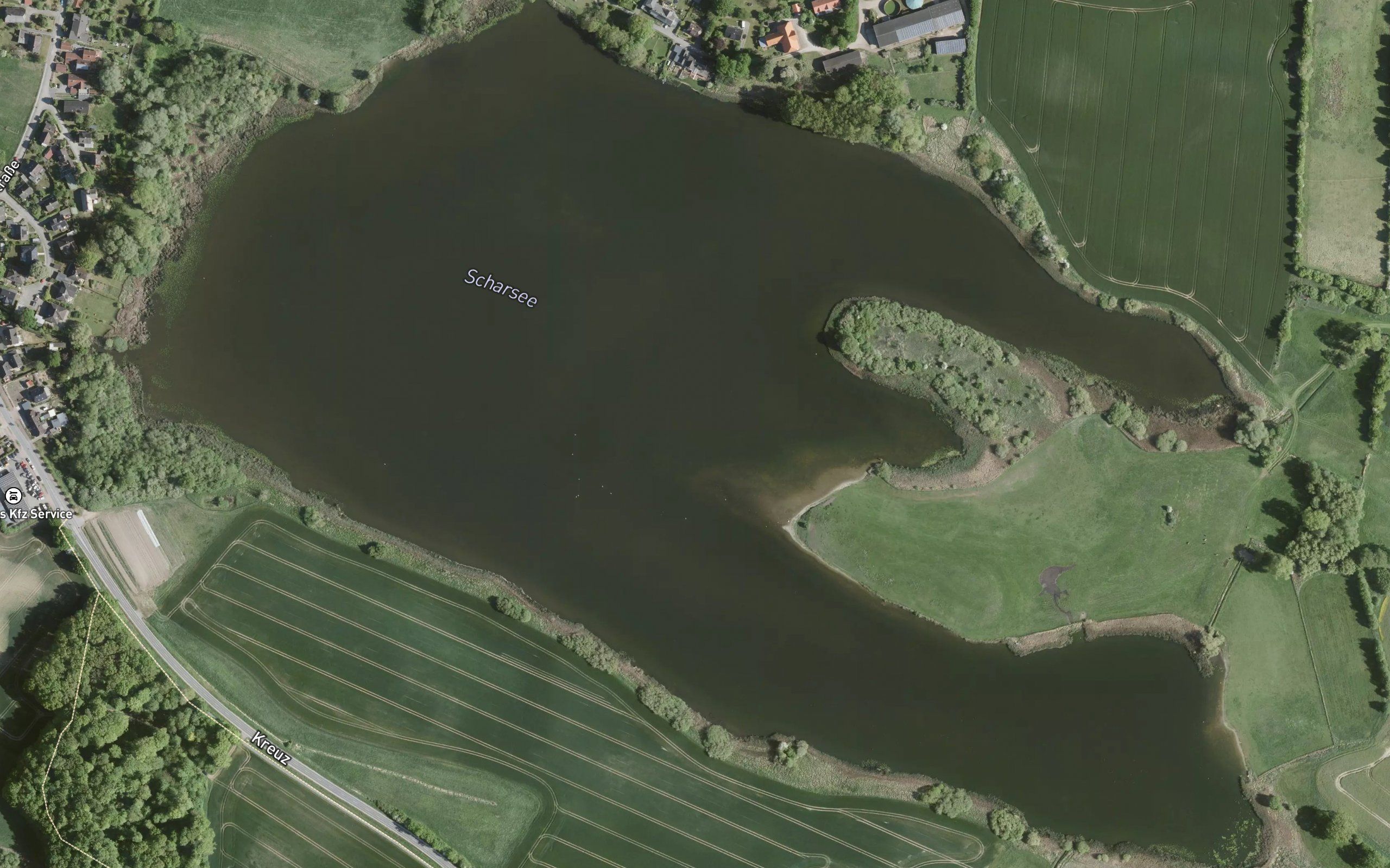 Scharsee