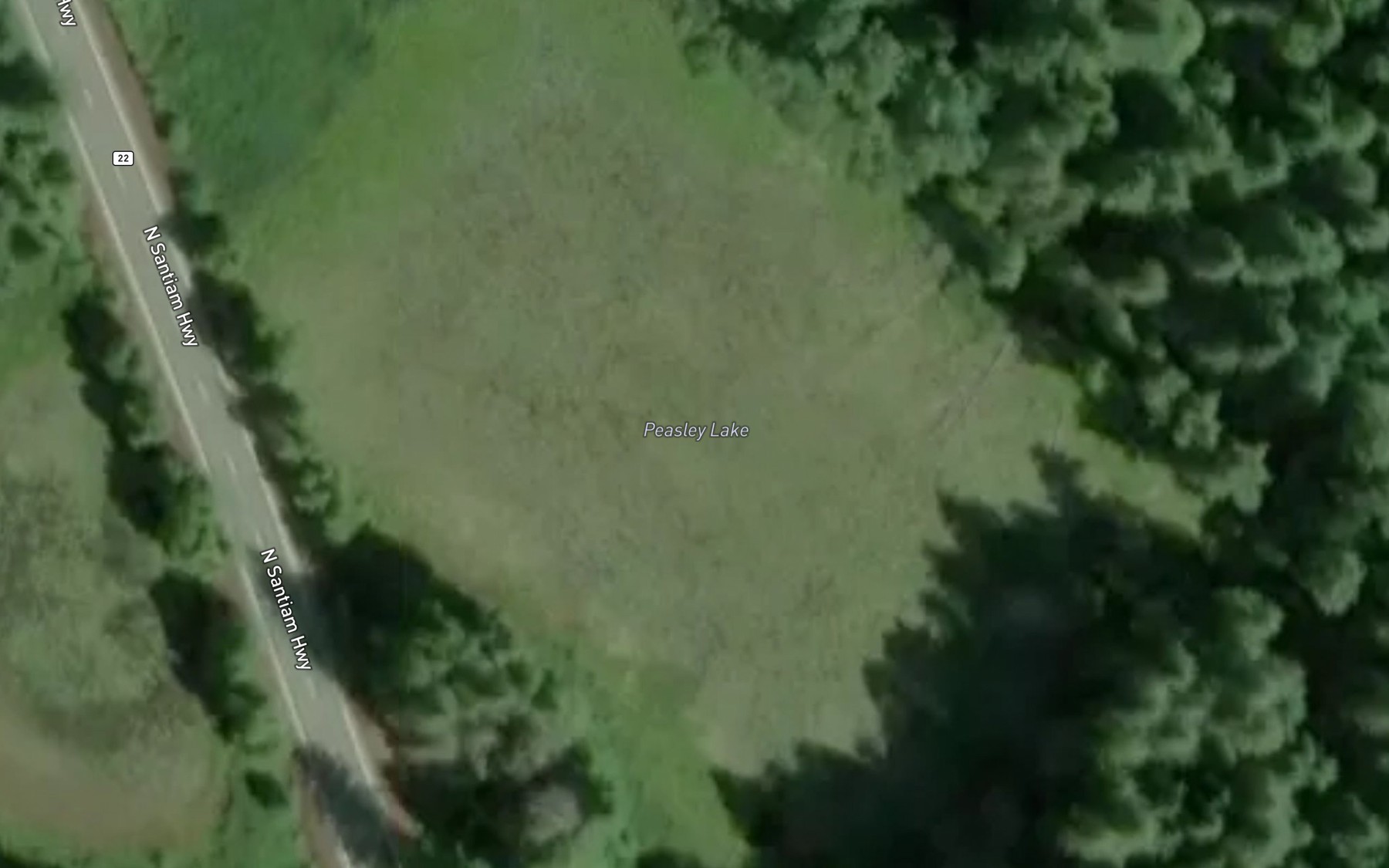 Satellite map of the Peasley Lake