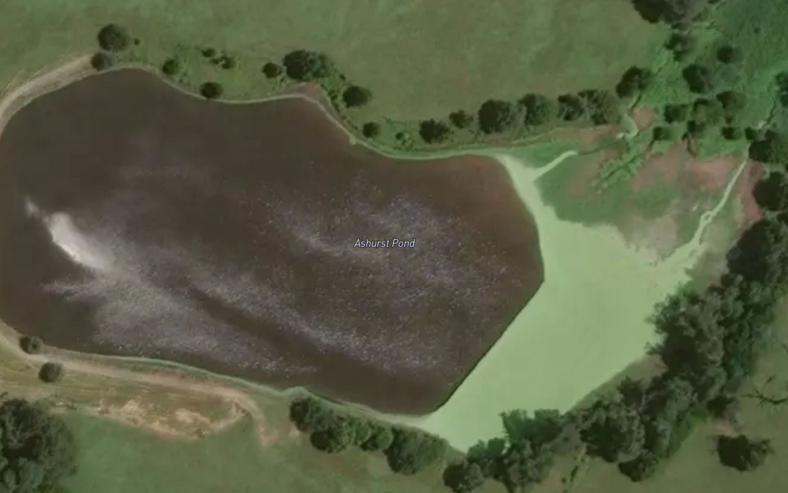 Ashurst Pond