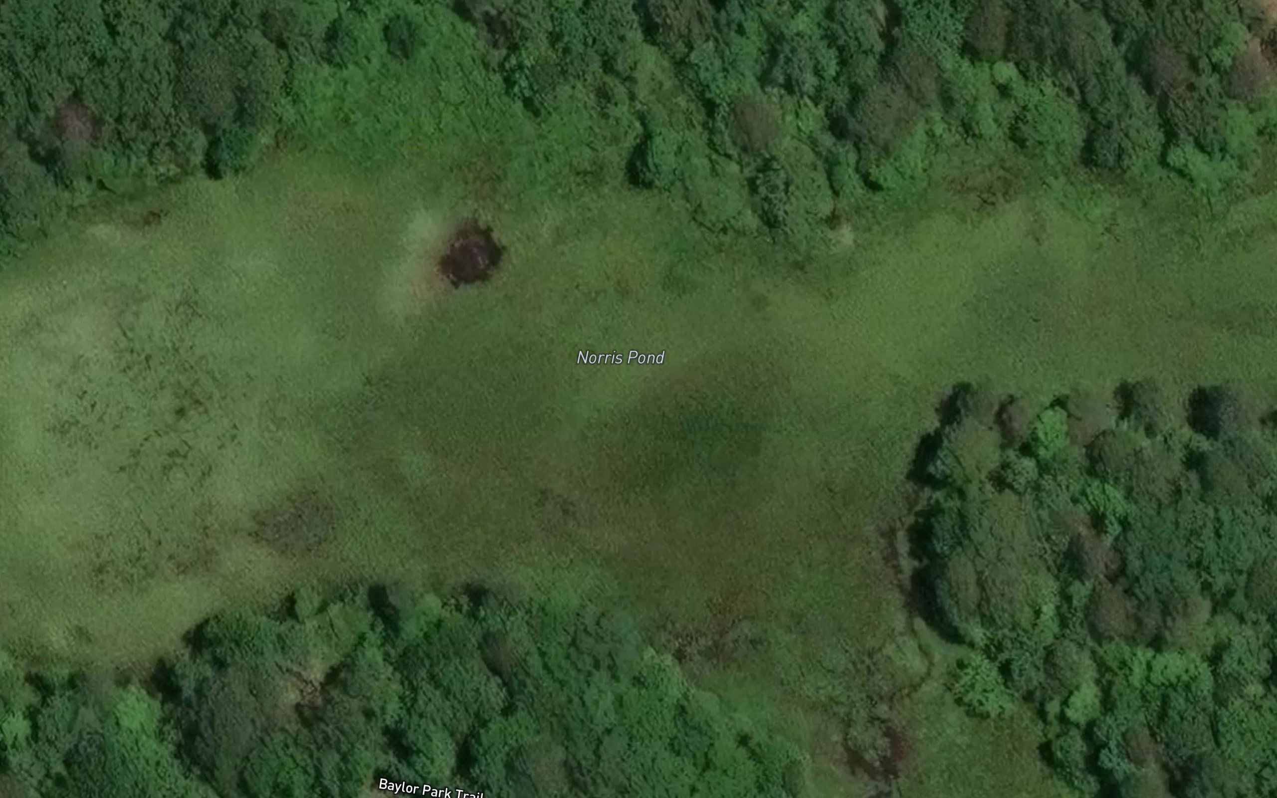 Norris Pond