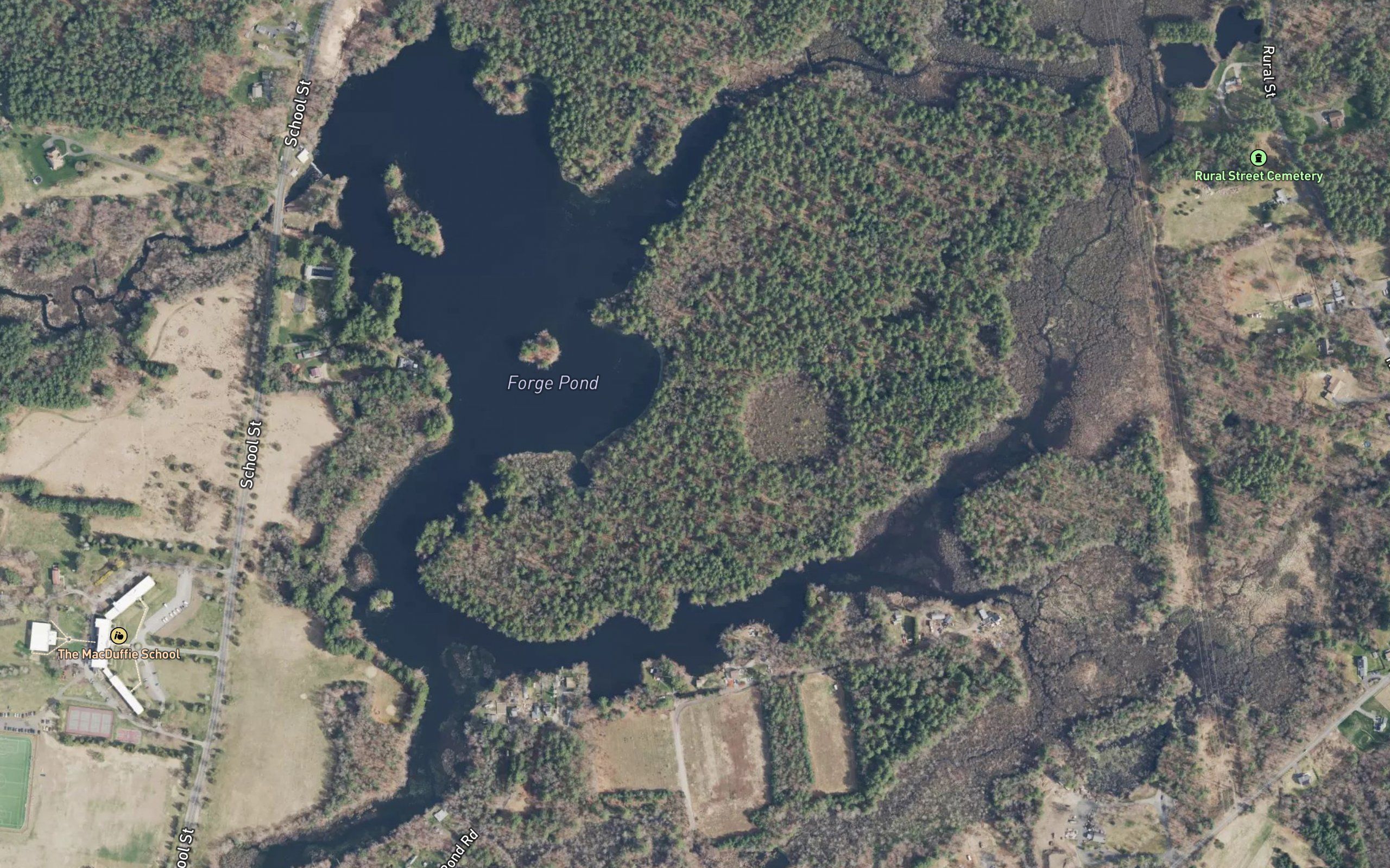 Forge Pond
