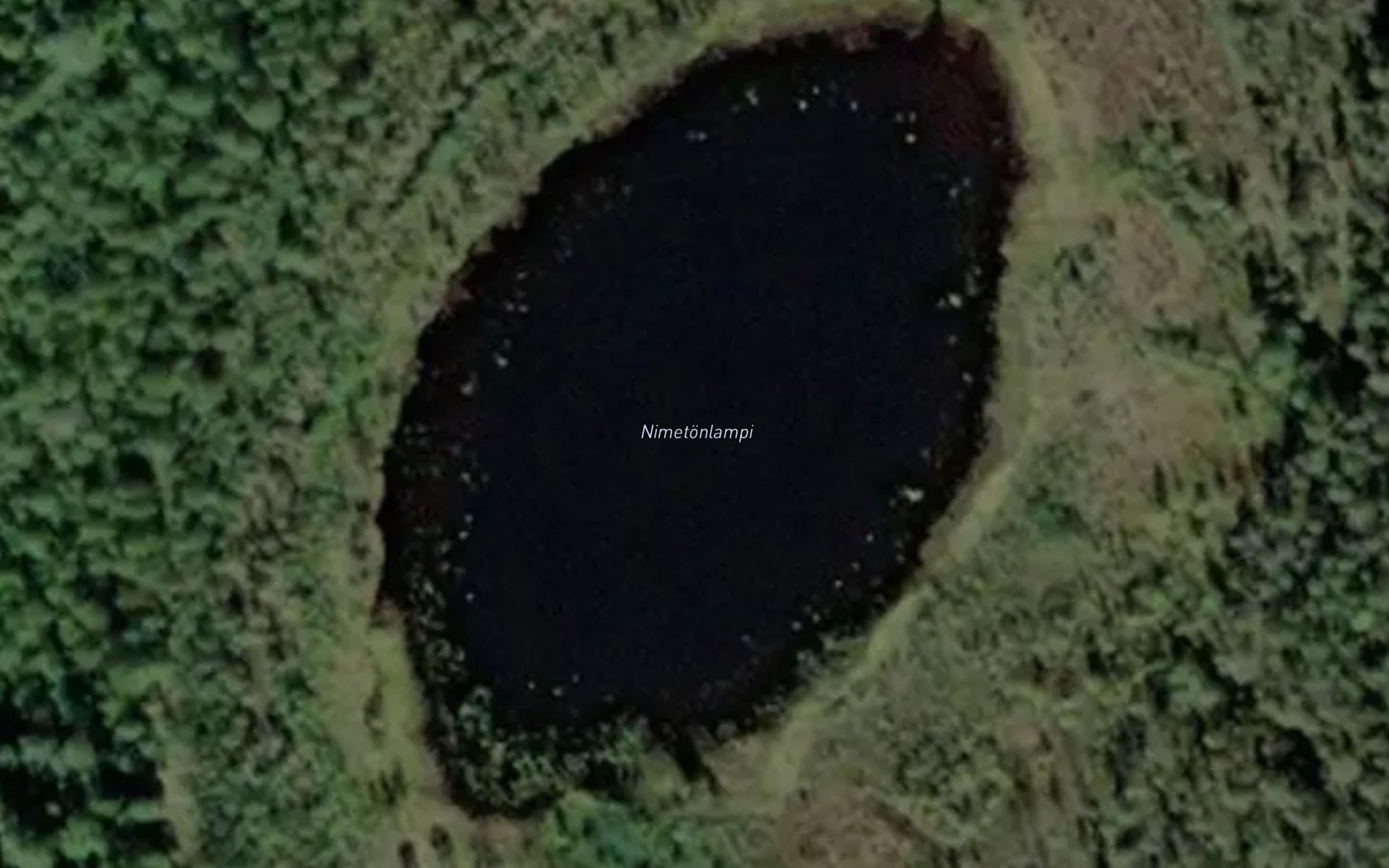 Satellite map of the Nimetonlampi