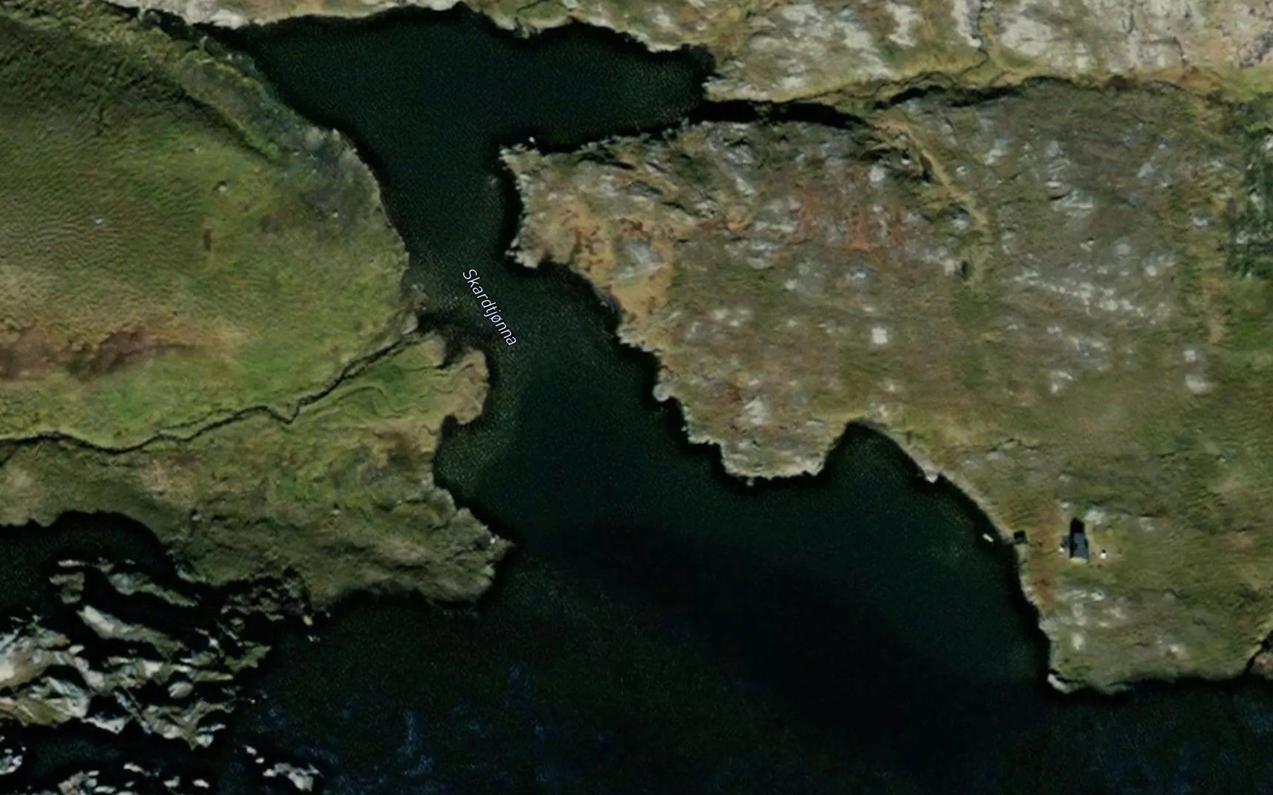 Skardtjonna