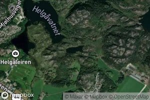 Nestjorna