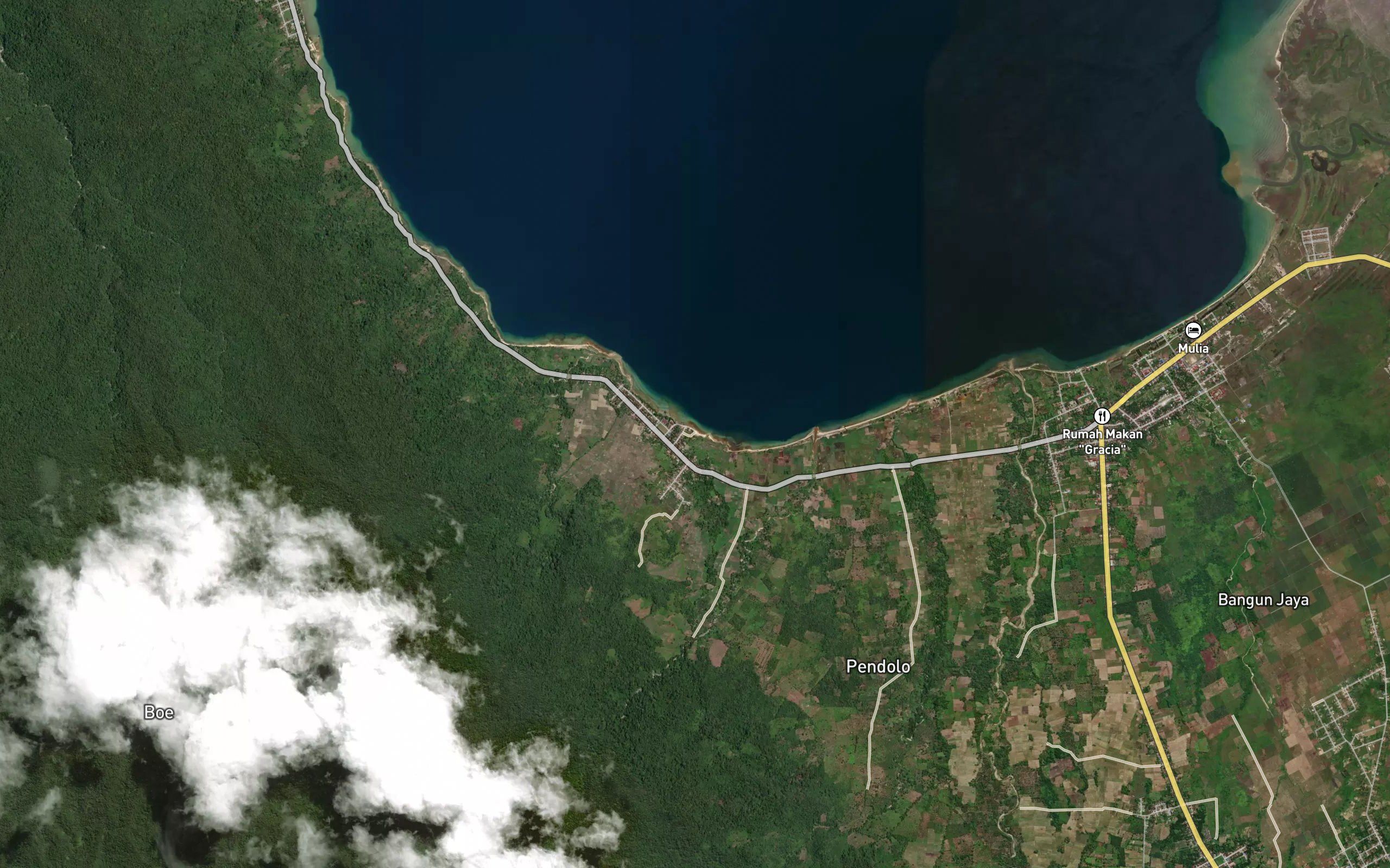 Koro Patambua