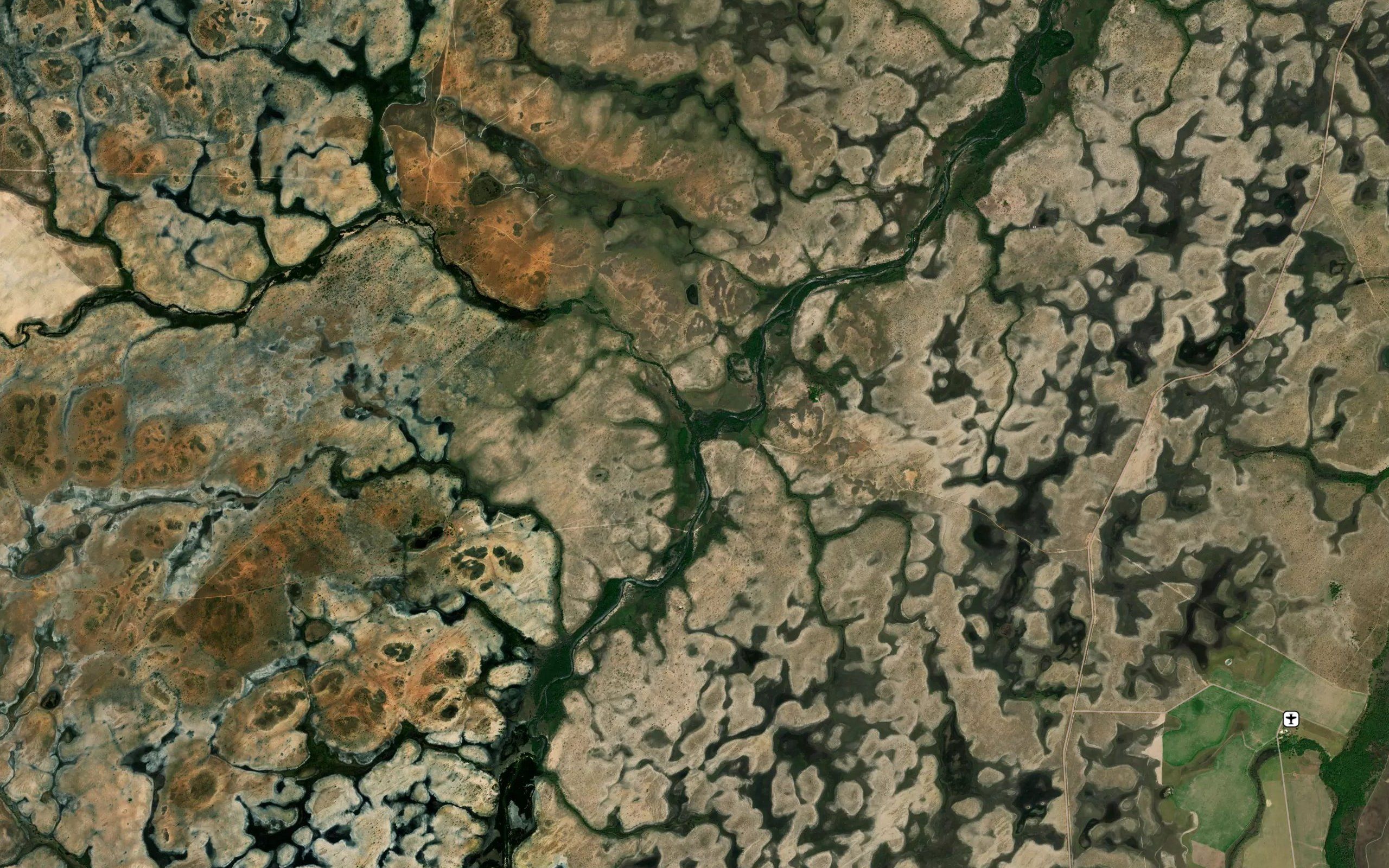 Igarape Javari