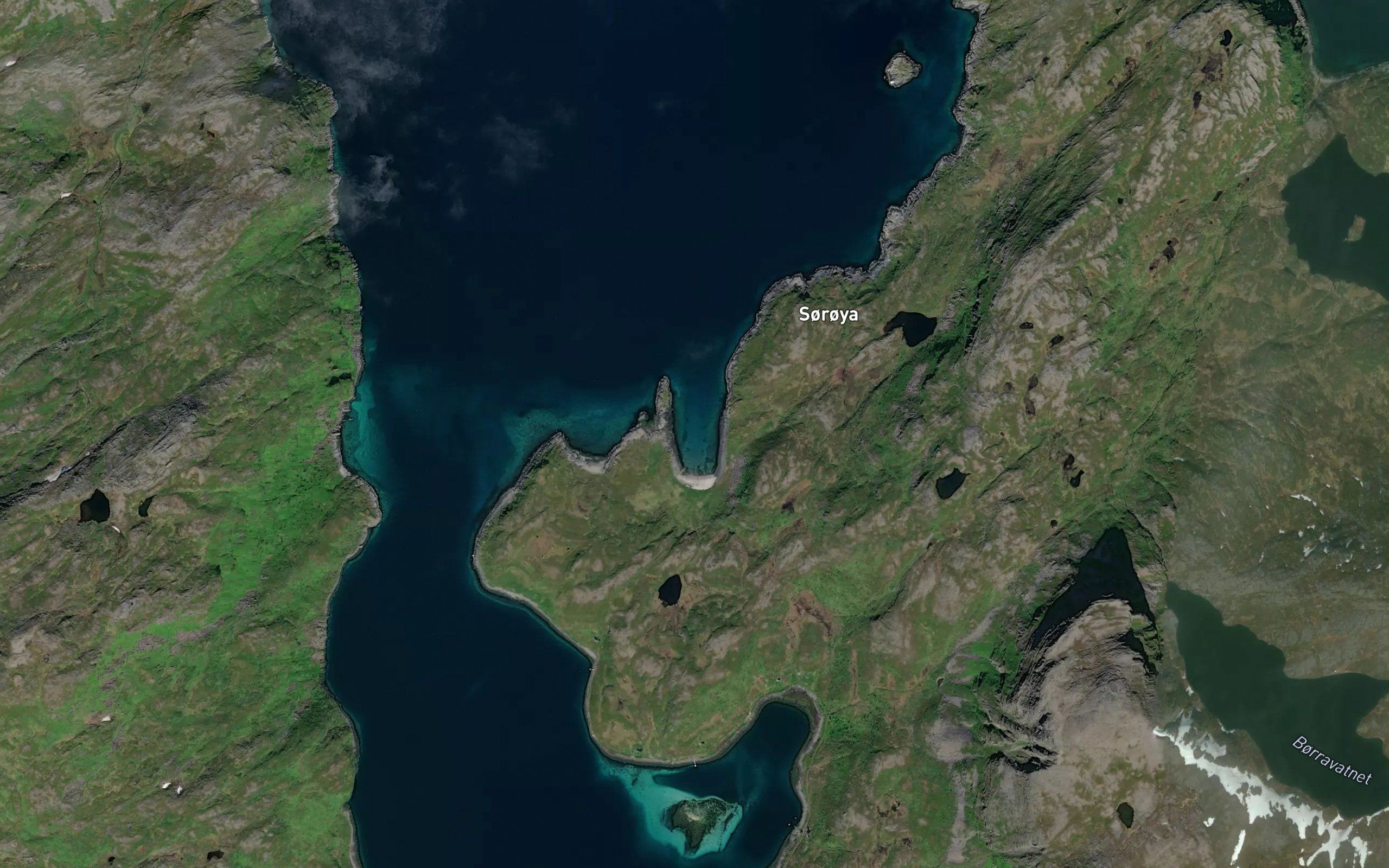 Borfjordvik