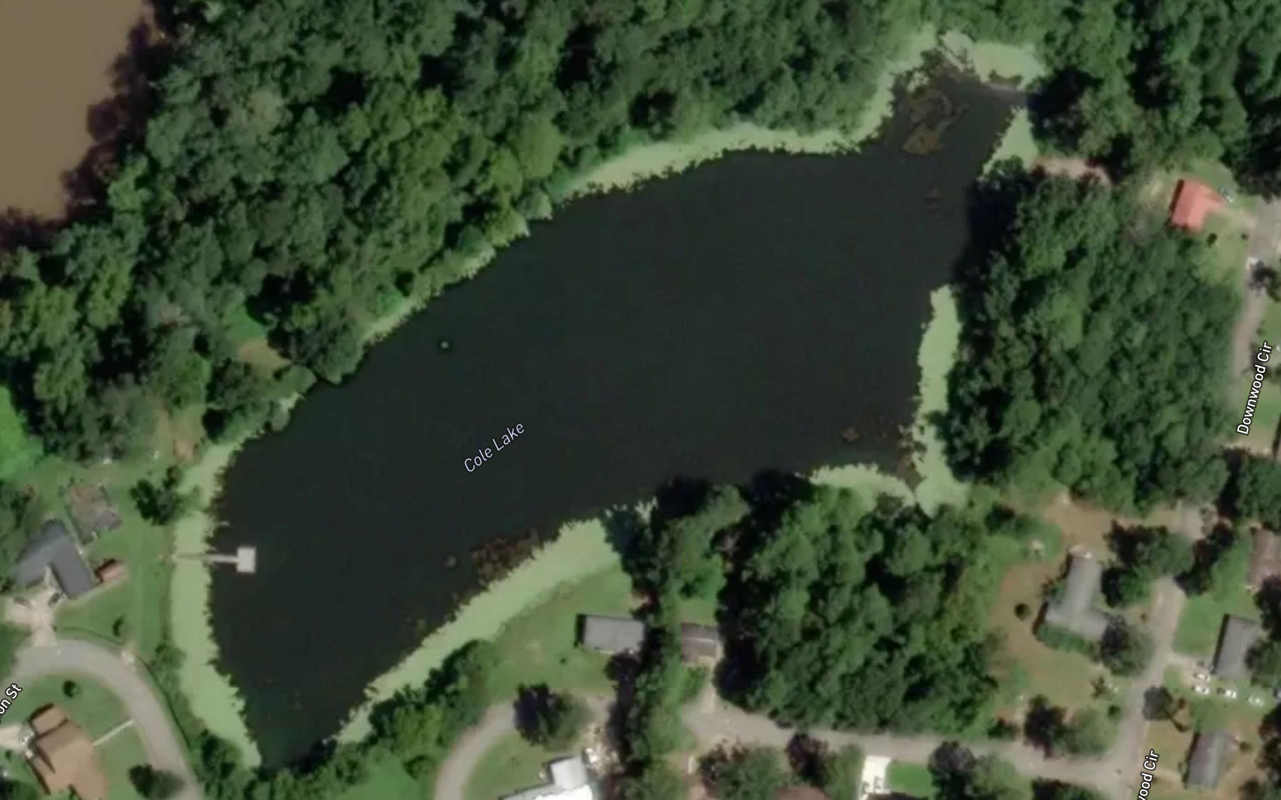 Cole Lake