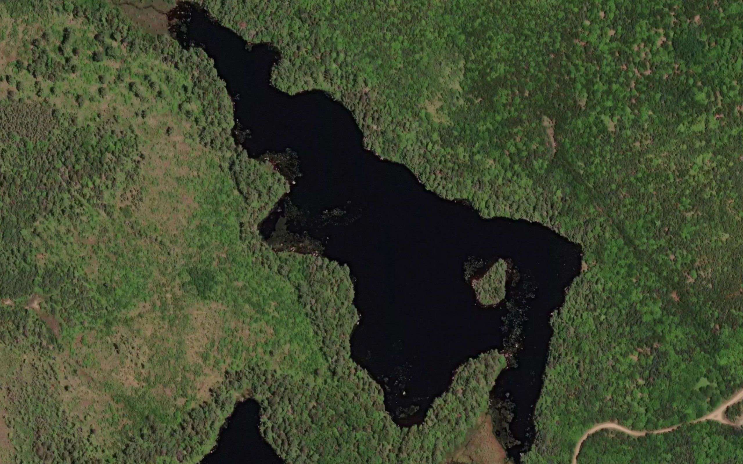 Little Sucker Lake