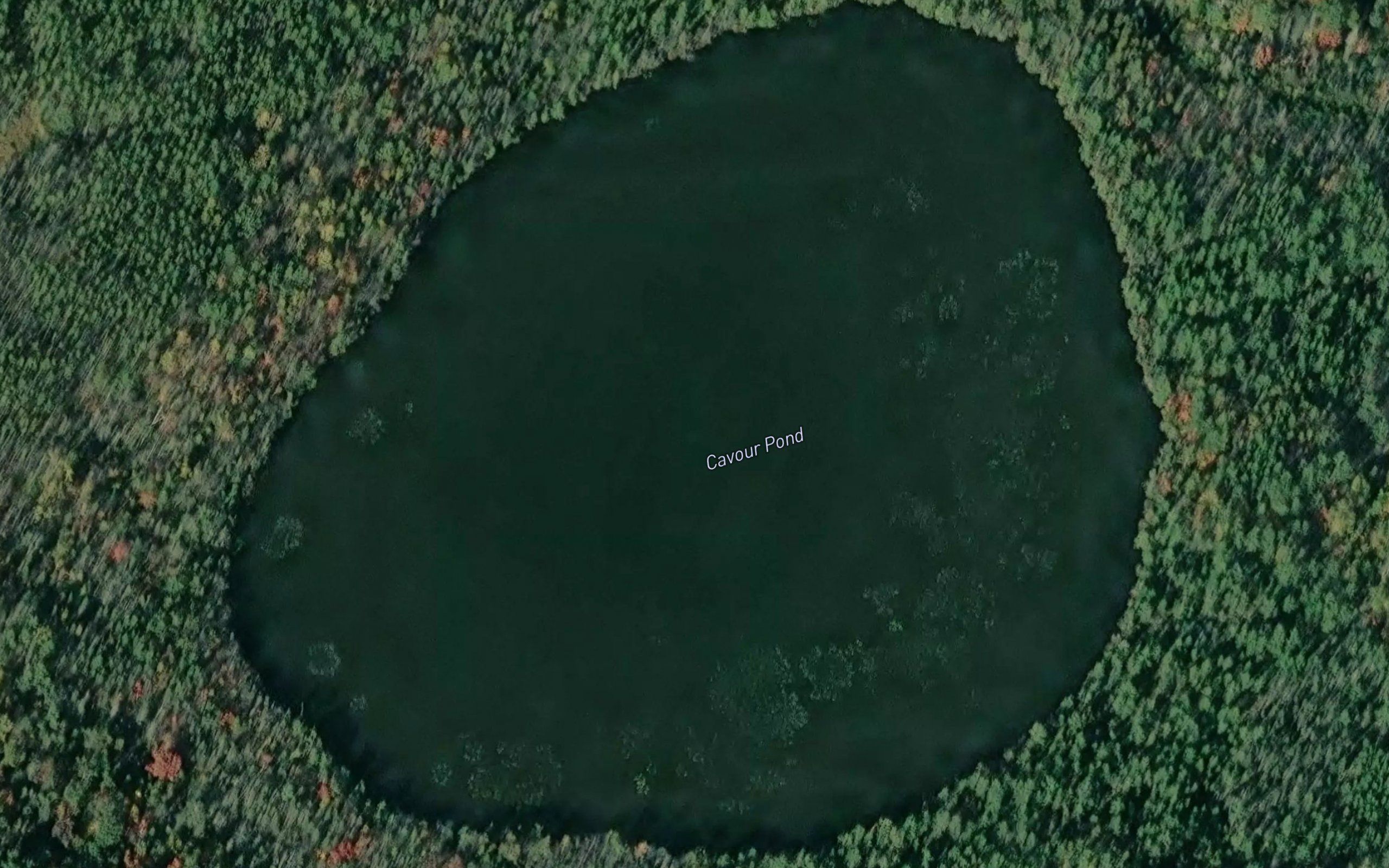 Cavour Pond