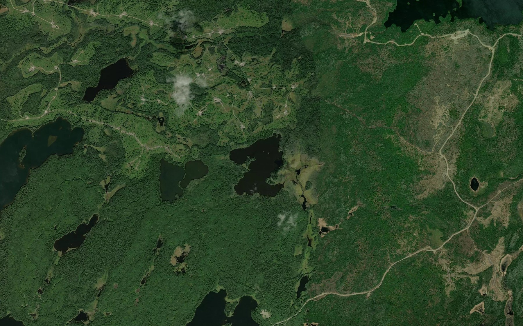 Satellite map of the Glen Lake