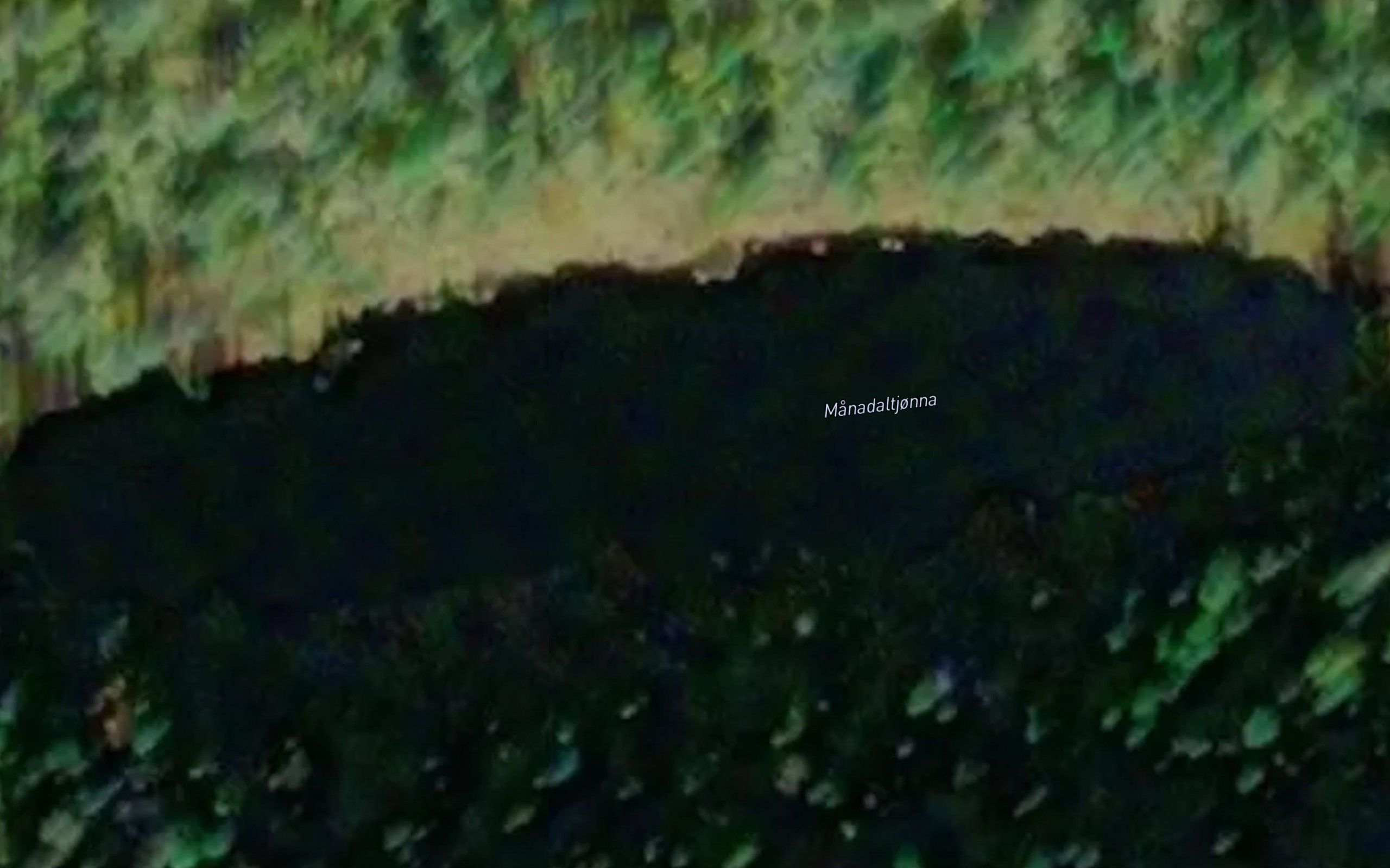 Manadaltjonna