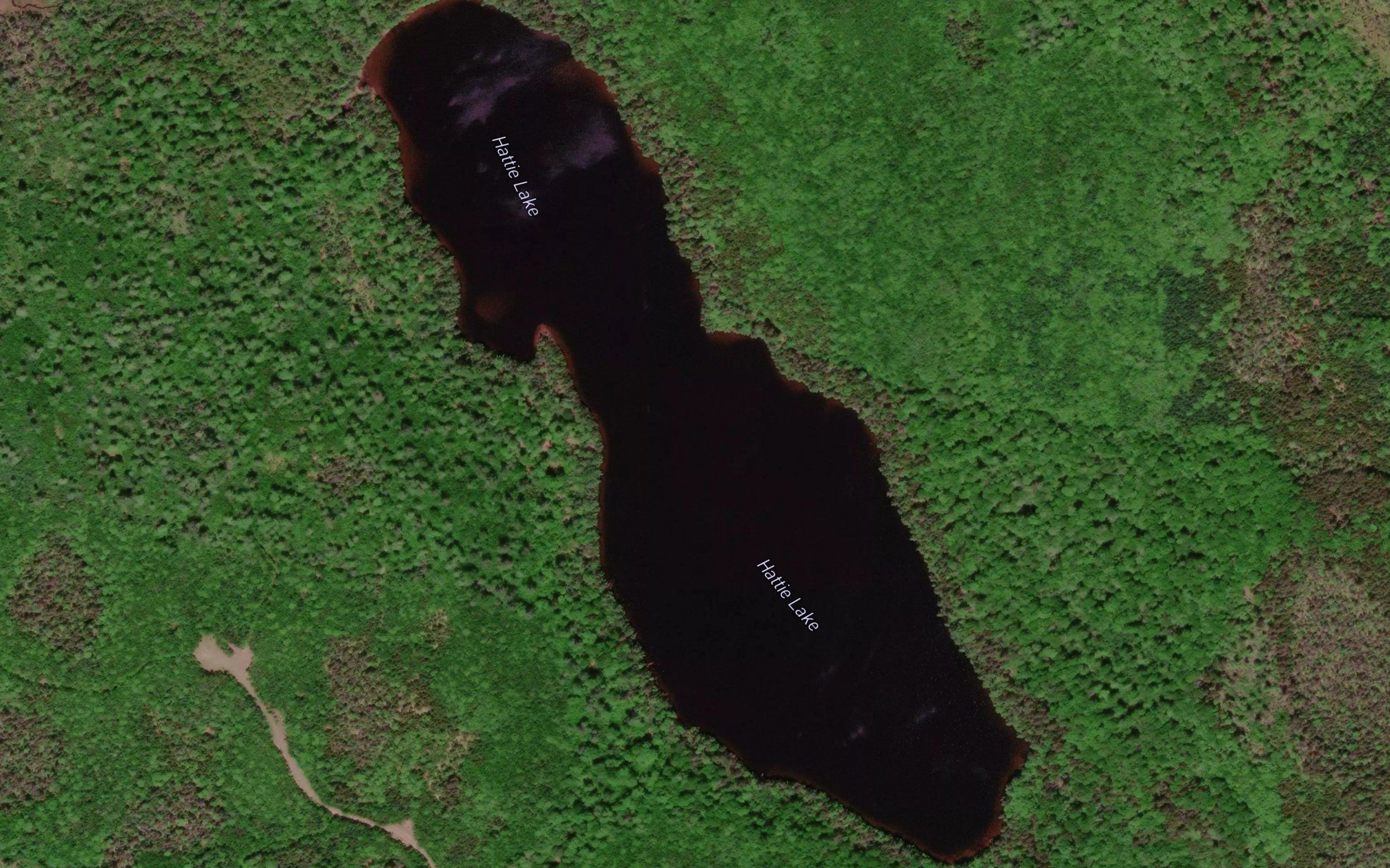 Hattie Lake