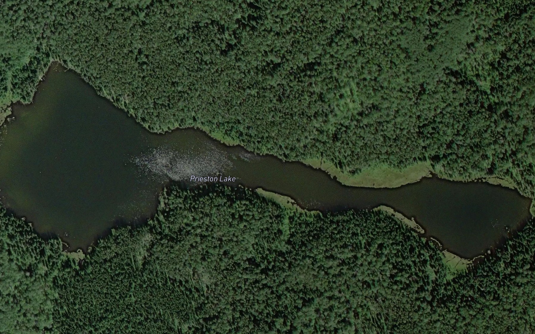 Satellite map of the Prieston Lake