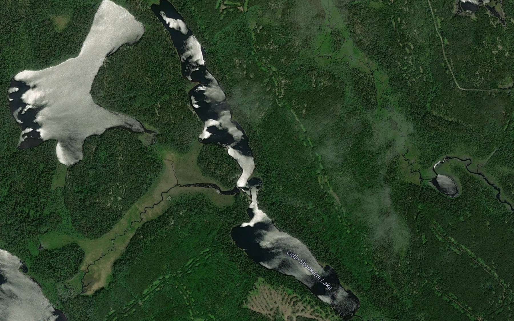 Satellite map of the Little Shookemi Lake