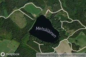 Metsalainen