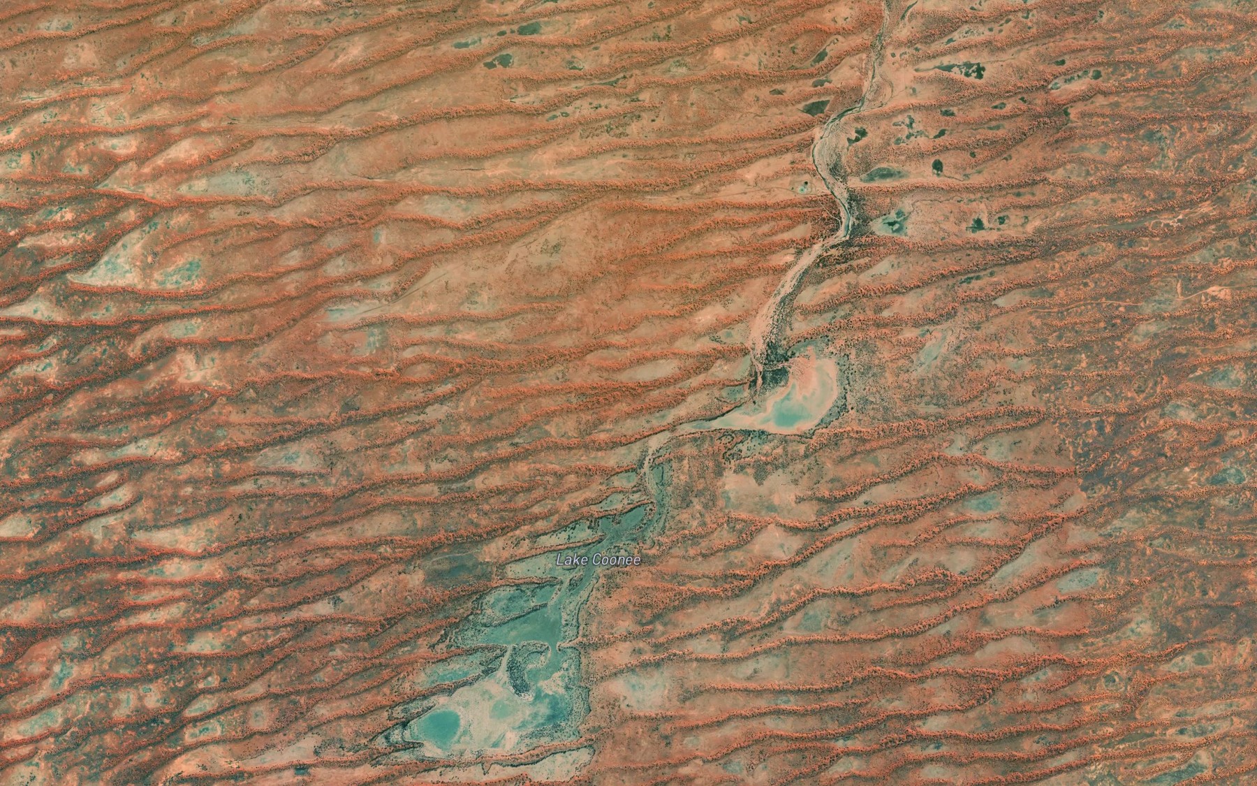 Satellite map of the Lake Coonee
