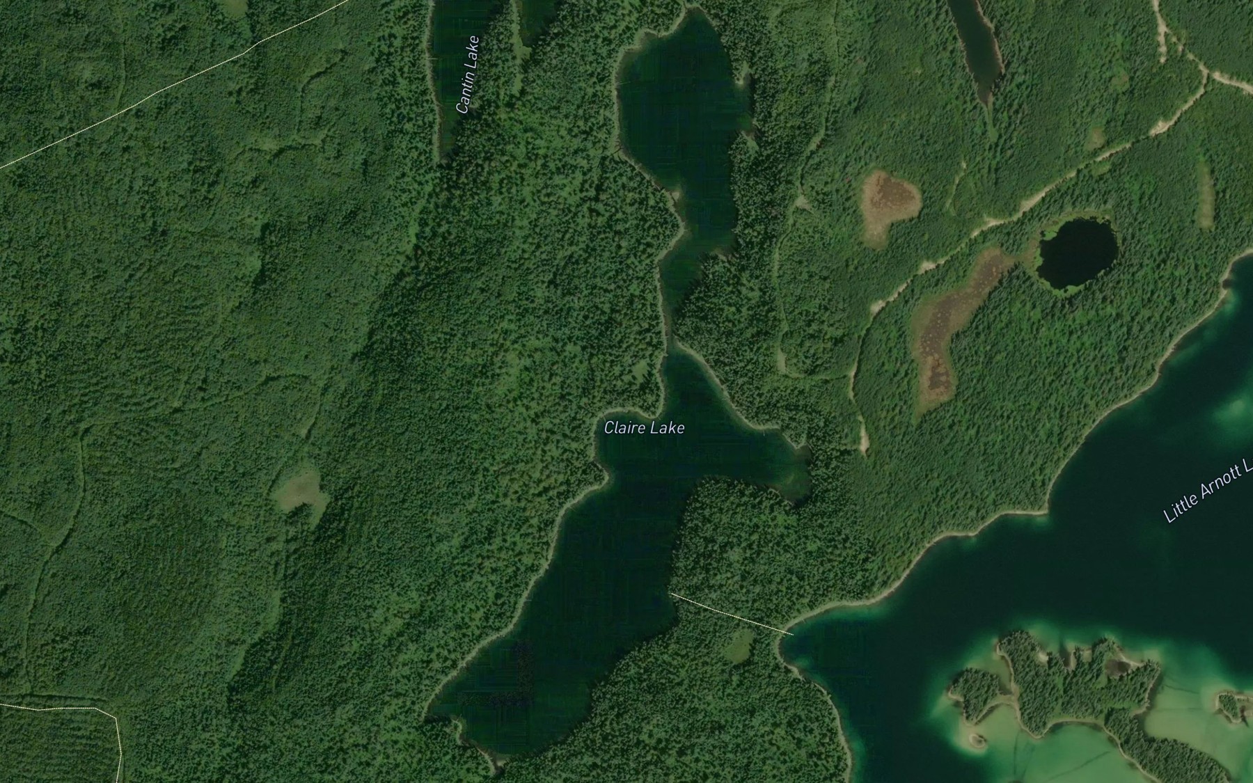 Satellite map of the Claire Lake