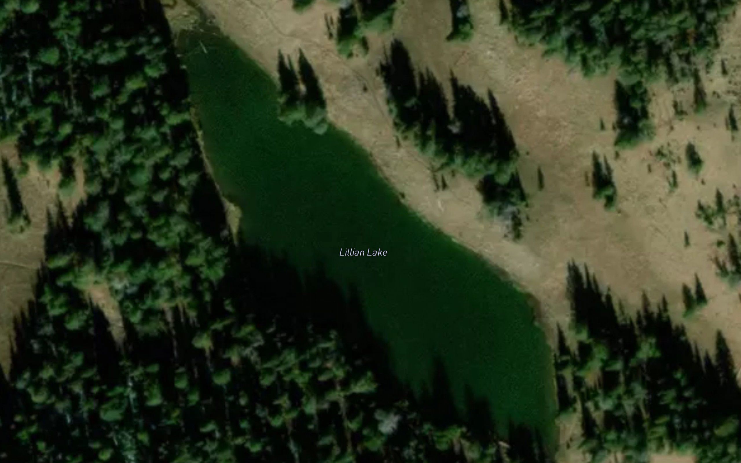 Lillian Lake